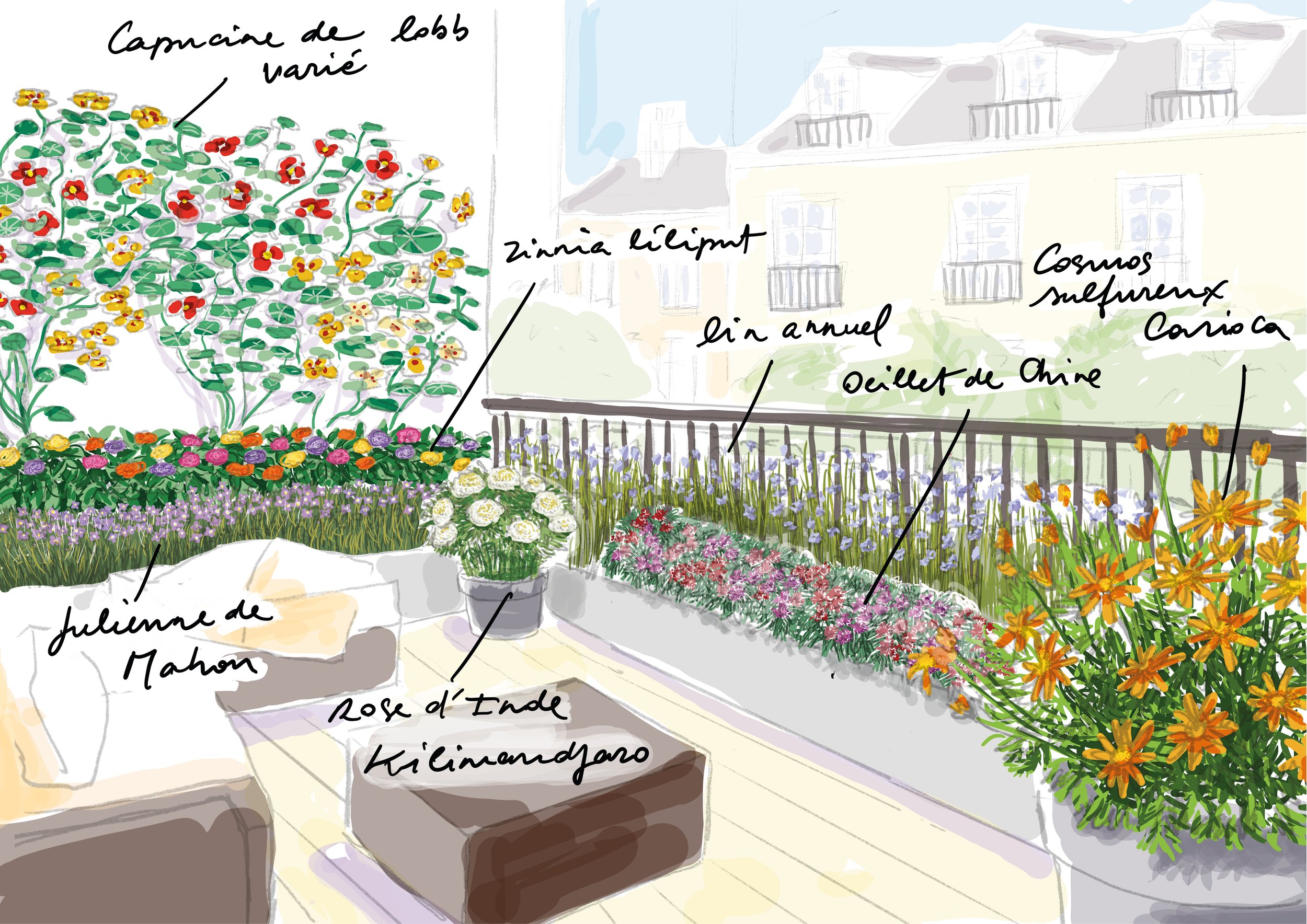 balcon facile.jpg