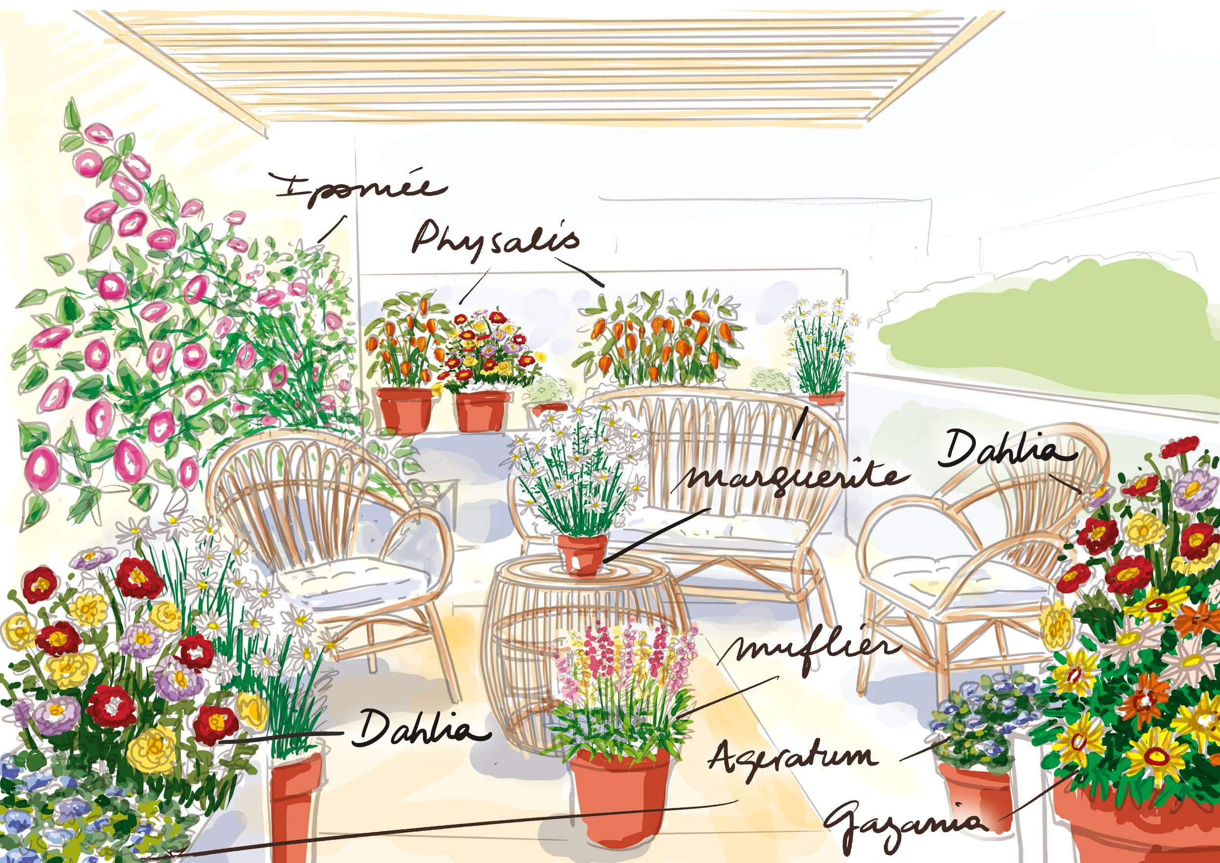 balcon vivaces.jpg