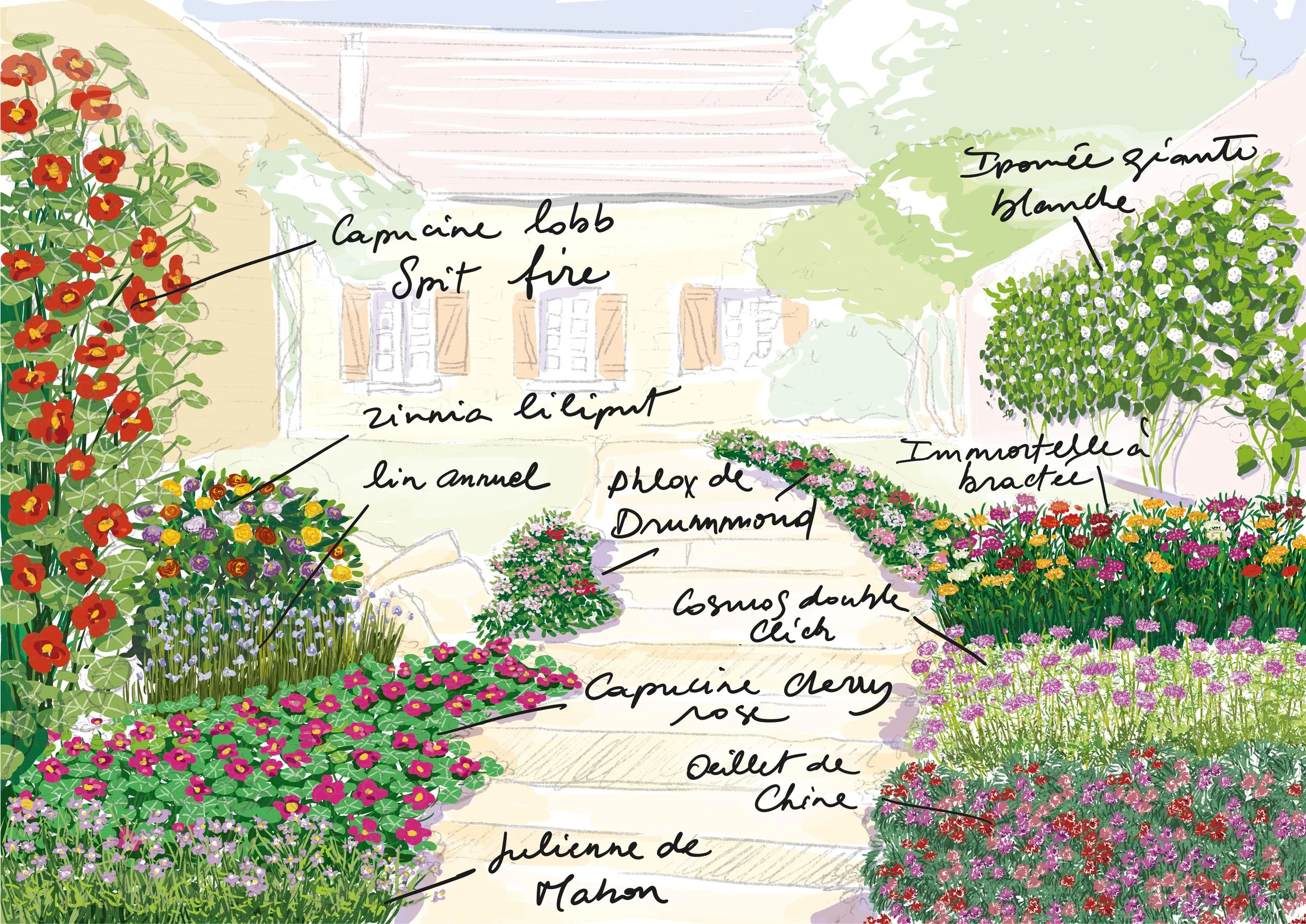 jardin facile.jpg