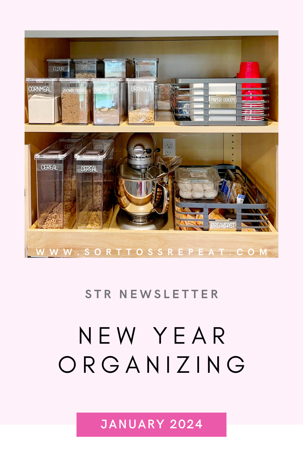 New Year Organizing - January 2024