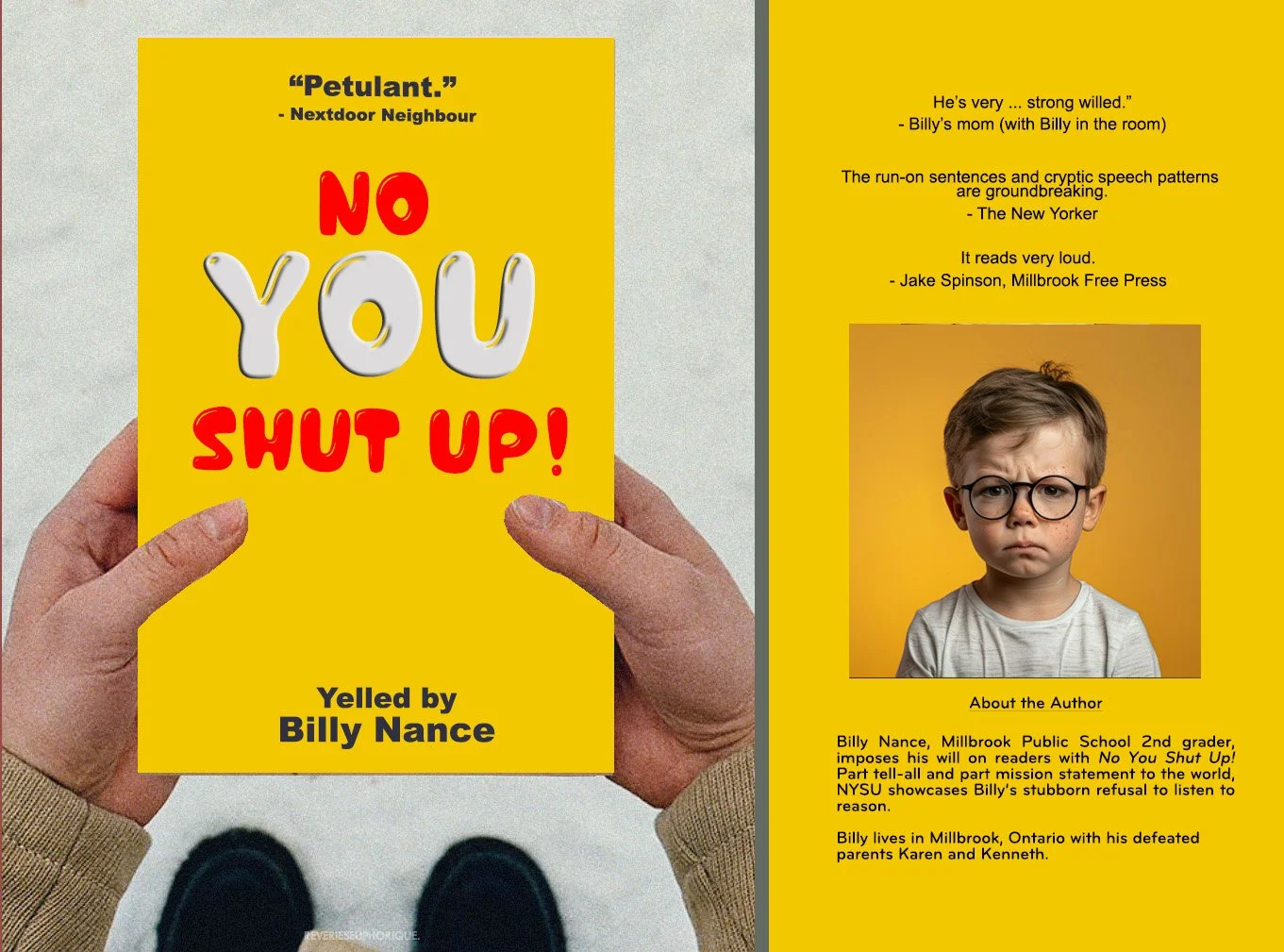 Book Jacket - NYSU.jpg