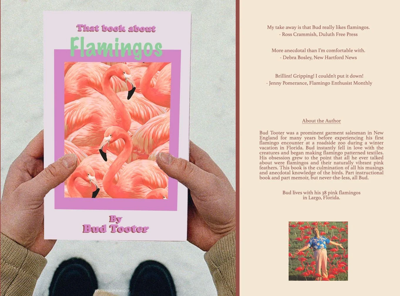 Book Jacket - Flamingos.jpg
