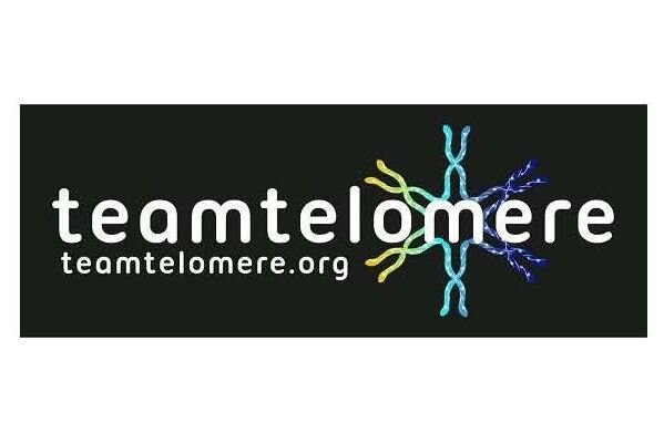 Team Telomere (Copy)
