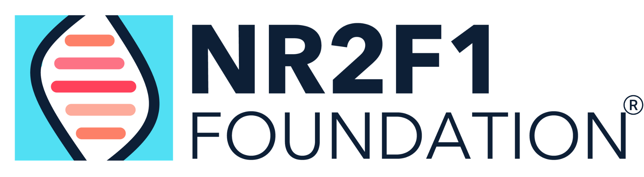 NR2F1 Foundation