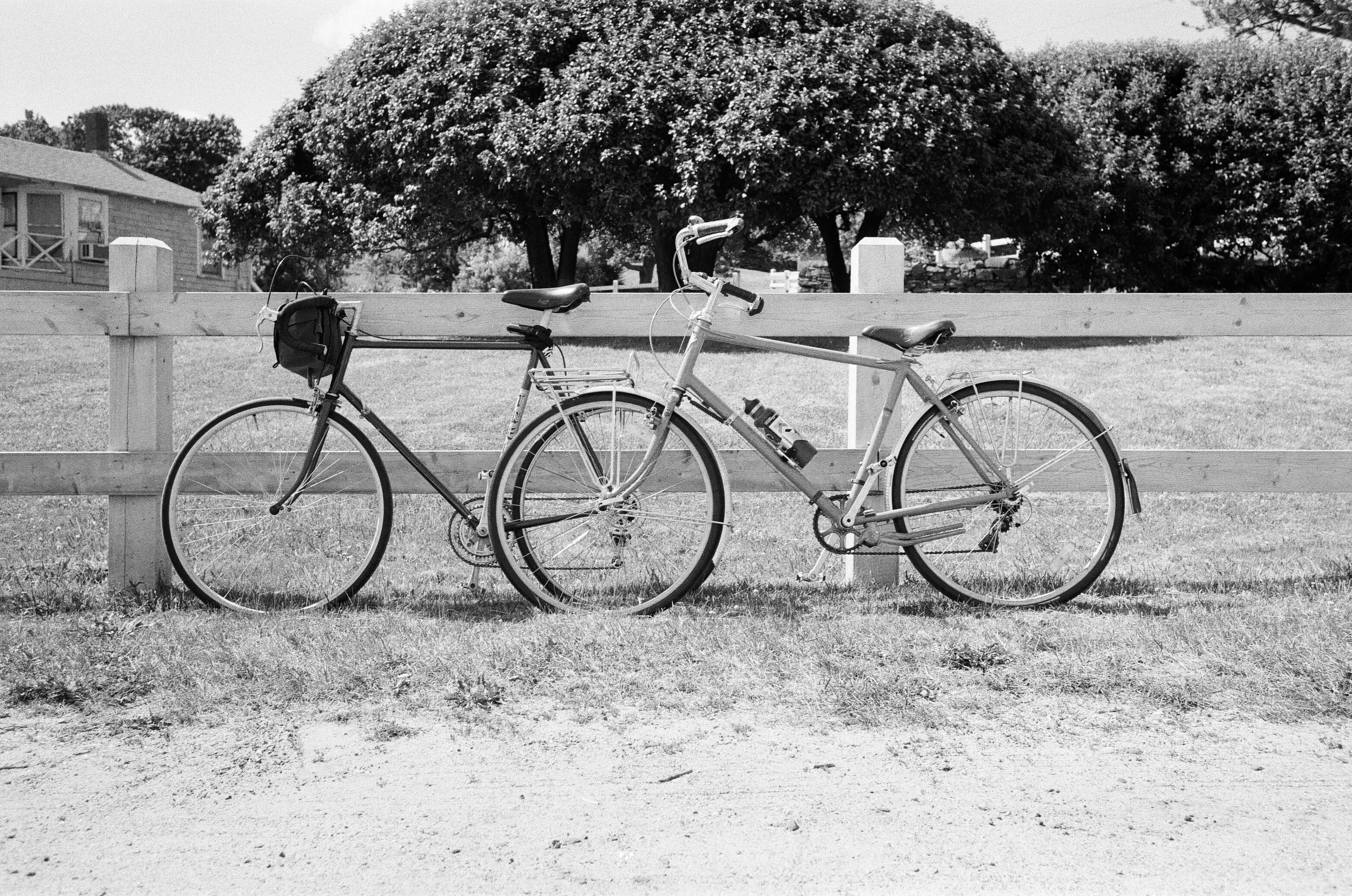 980200180013_11A (1).jpg