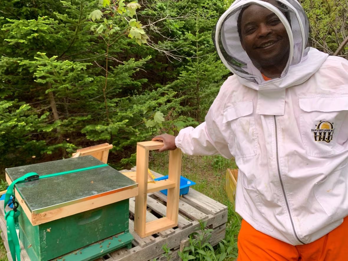 The bees are buzzing, and so is this N.L. beekeeper from Nigeria