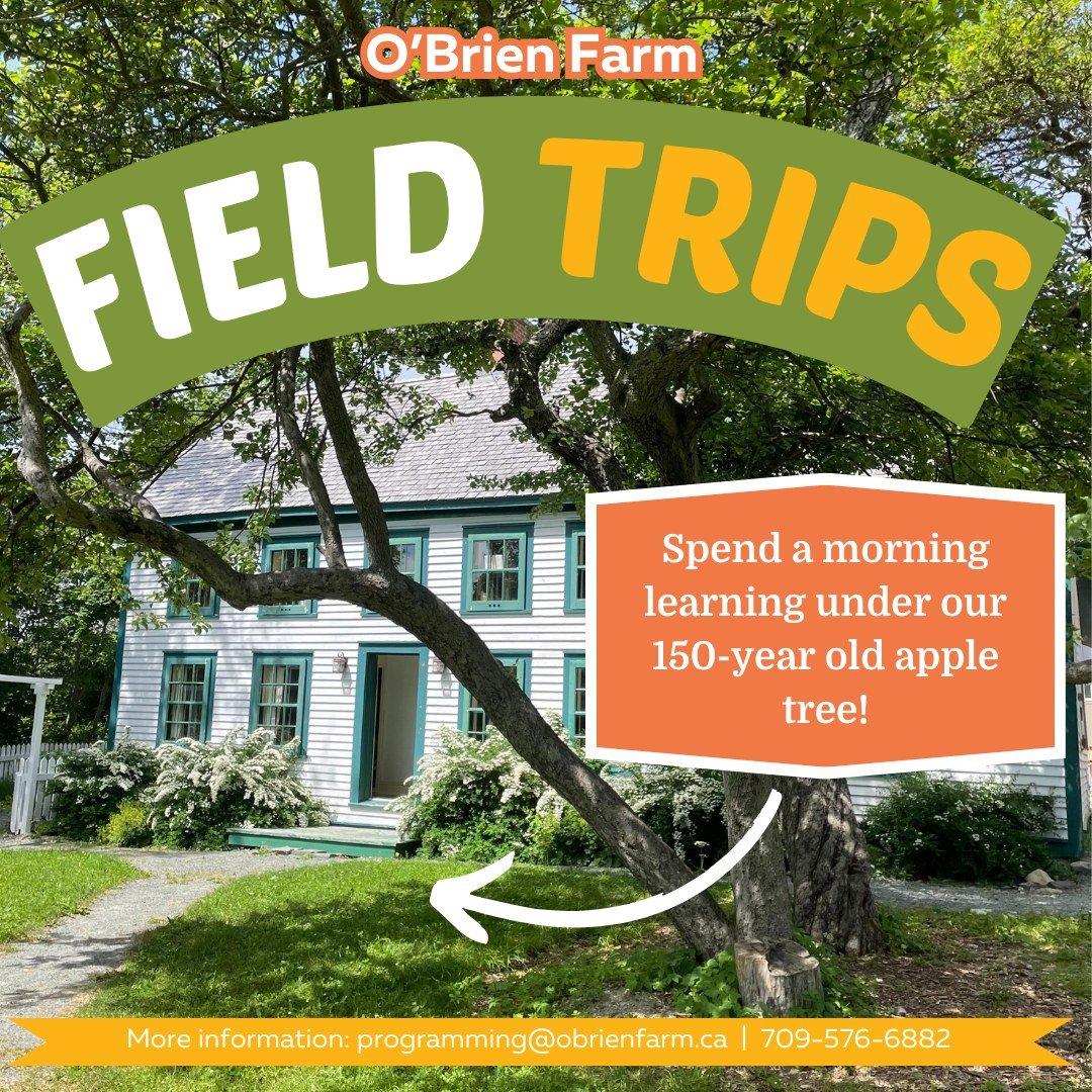 🌱Field trips are back at O'Brien Farm! Take your class outside this spring and learn about everything from soil science to farming history to plant development.

Limited slots are available! For more information, visit www.obrienfarm.ca/field-trips 