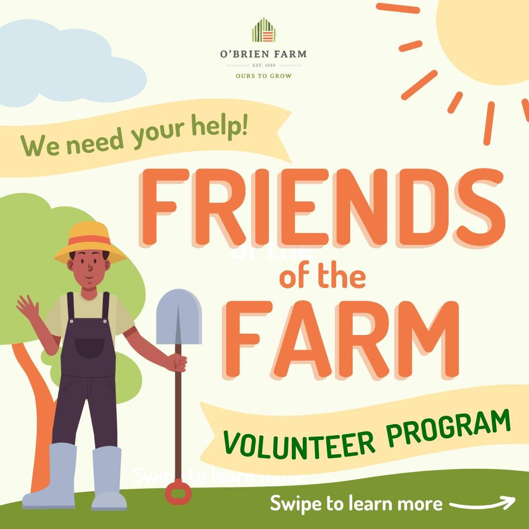 Are you looking for an exciting volunteer opportunity in St. John's? Enthusiastic about learning and working with others? Want to contribute to our work in local agriculture? 

🌱 Introducing... the Friends of the Farm program! 🌱

☘ We're looking fo