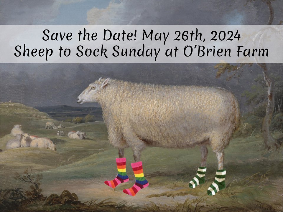 🐑 Save the Date! 🐑

Join Heritage NL and the Sheep Producers of NL for our first Sheep to Sock Sunday at O&rsquo;Brien Farm. There will be sheep, lambs, shearing demonstrations, spinning, carding, knitting, and more. See the whole process of how we