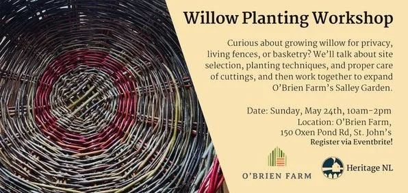Down by the Salley Gardens: Willow Planting Workshop and Picnic