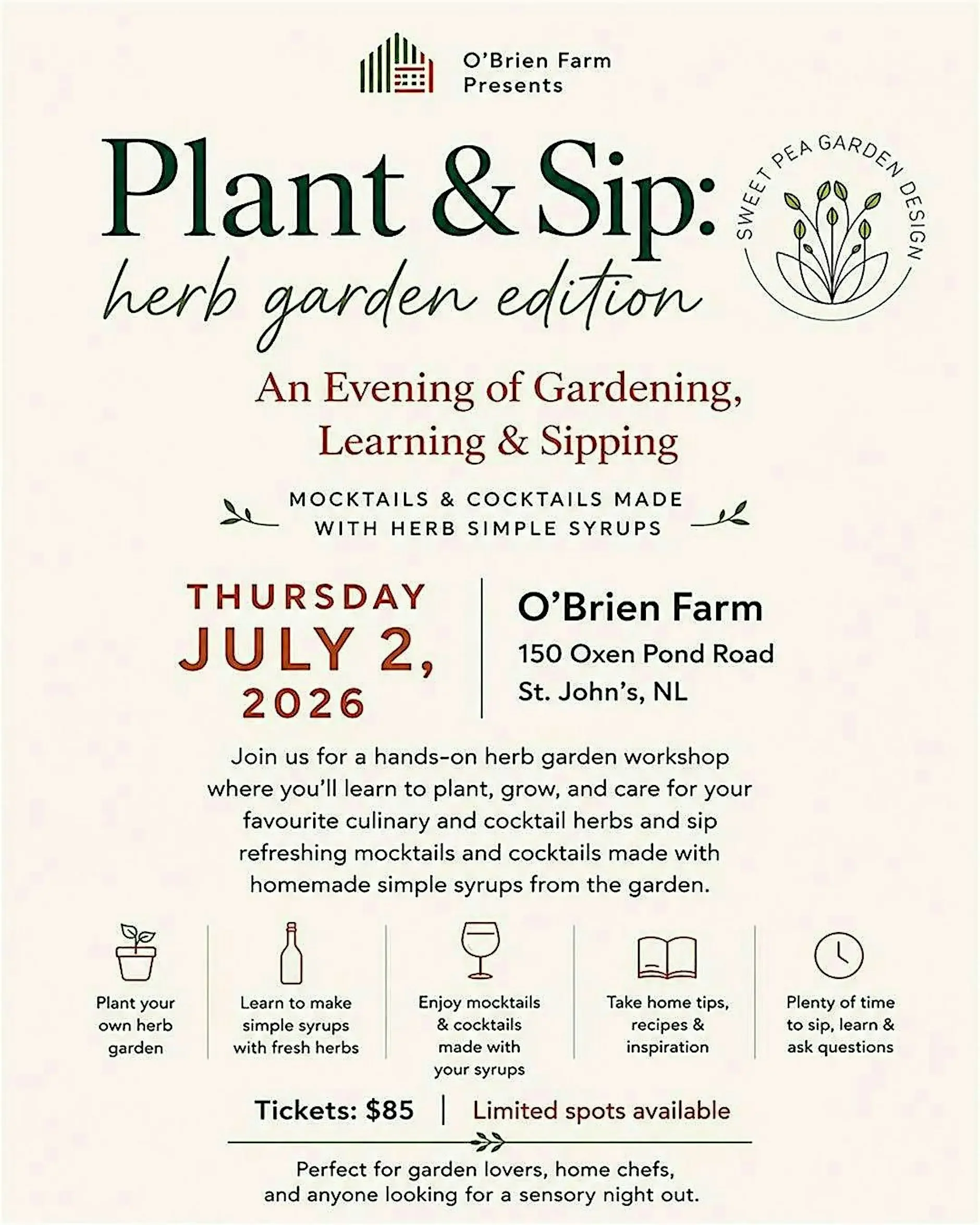 Plant and Sip: Herb Garden Edition