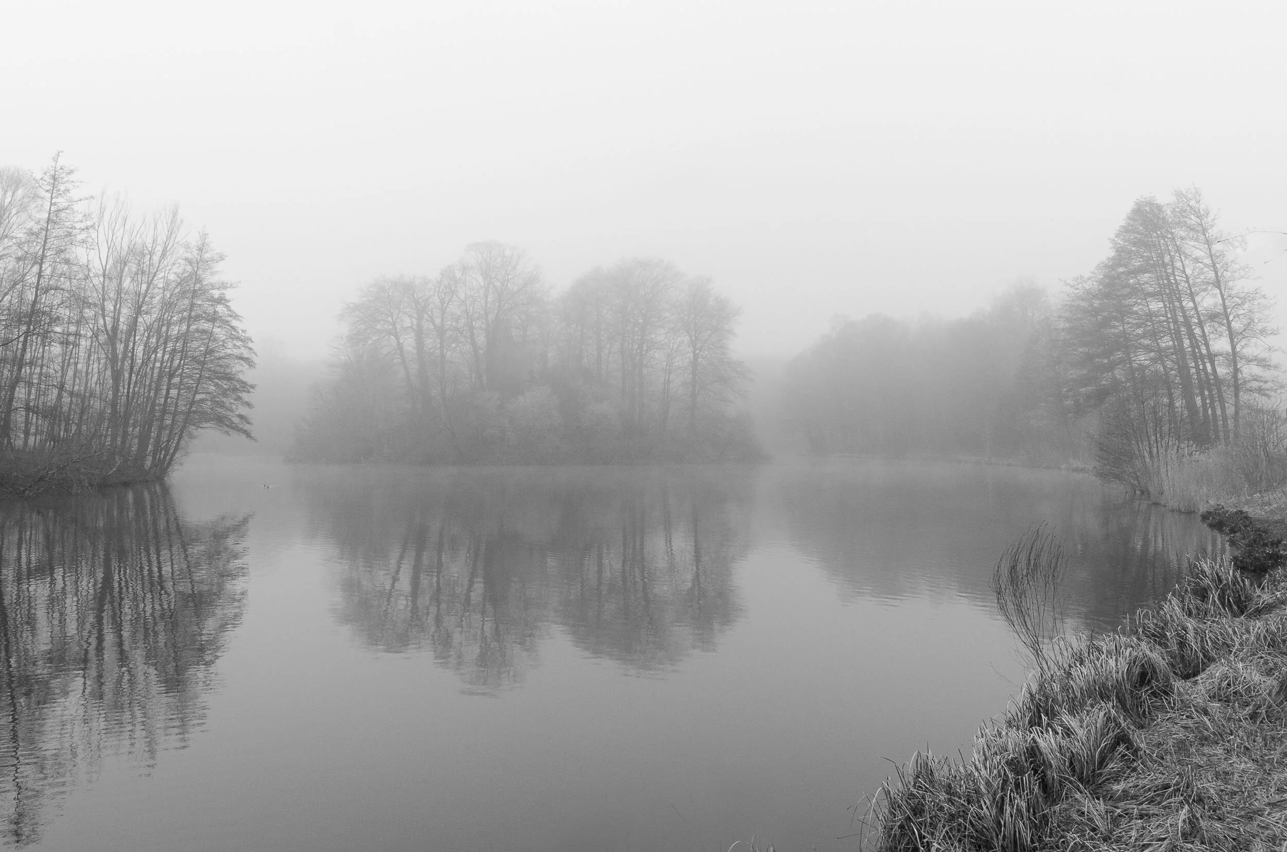 Bagno Landschaft Nebel.jpg