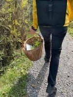 Weekend Einsiedeln - Ruhe geniessen bei Wanderung, Kultur &amp; Kräuterspaziergang