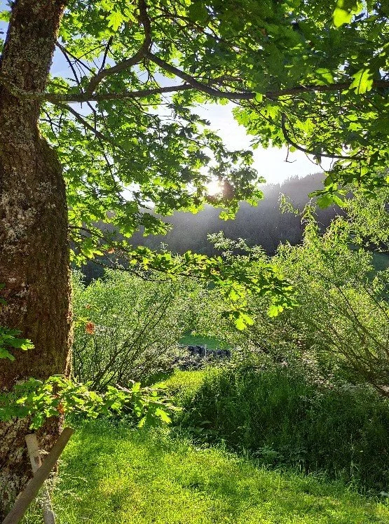Raum und Zeit für Meditation am Morgen