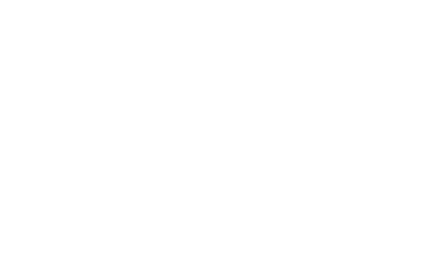 VIVA Hair Studio The Lakes