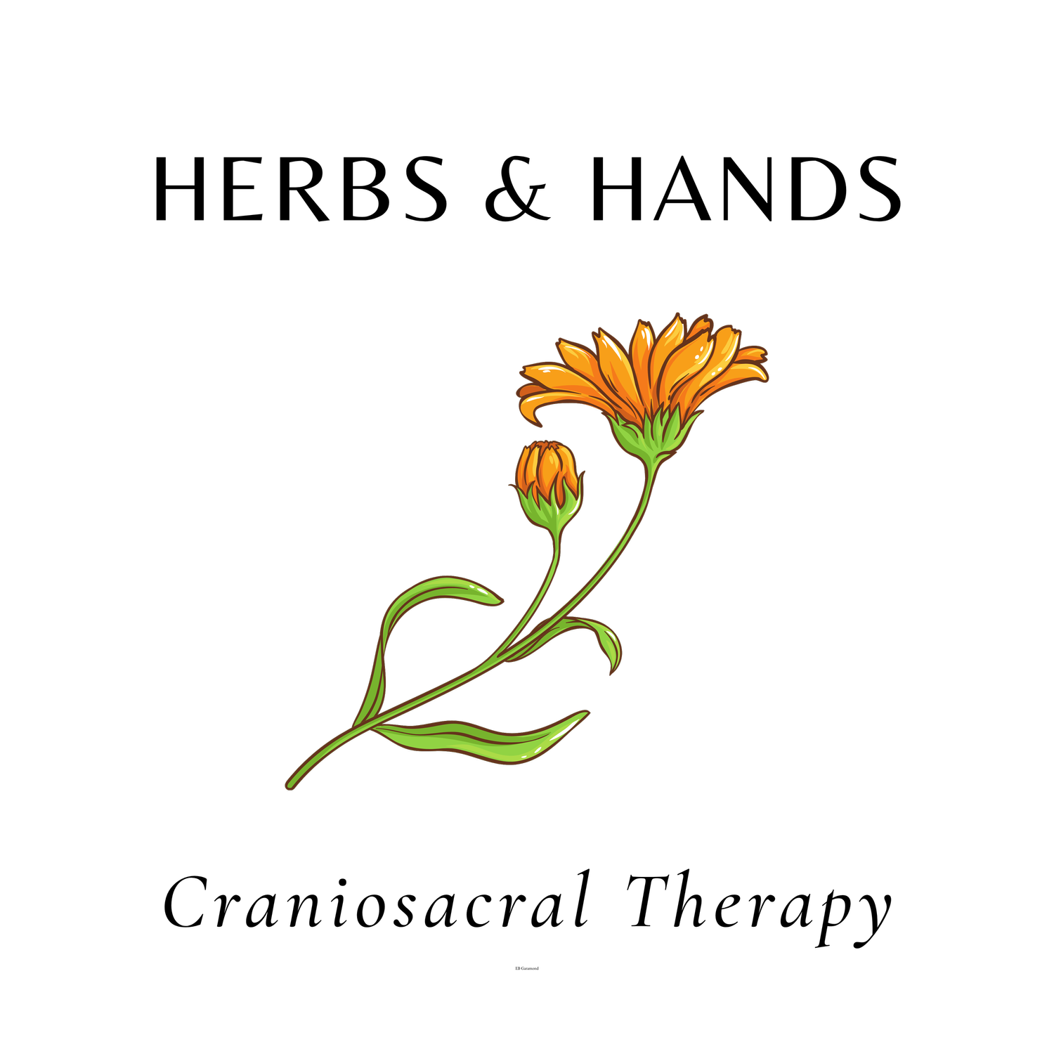 Herbs &amp; Hands Craniosacral Therapy