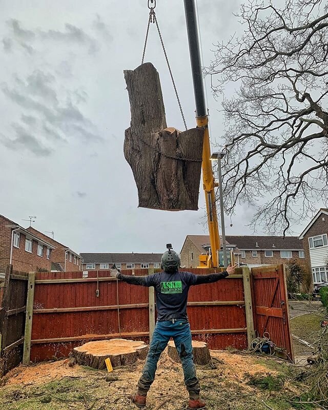 See ya #asktreesurgeons #treework #treesurgery #crane #treeworker #treesurgeon #arblife #arborist #arbwork #treecutting