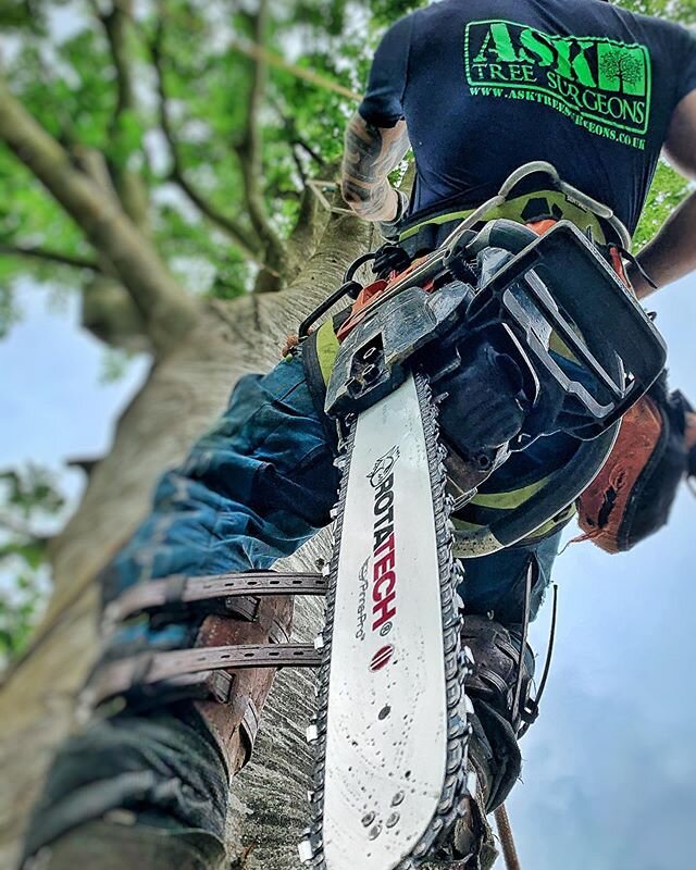 Nice beech take down using @rotatechproducts from @northernarbsupplies. 🤙🏽🤙🏽 #asktreesurgeons #rotatech #treework #treesurgery #treesurgeon #treeworker #climbing #trees #treeclimbing #climbingtrees #chainsaw #husqvarna #job #work #barandchain #be