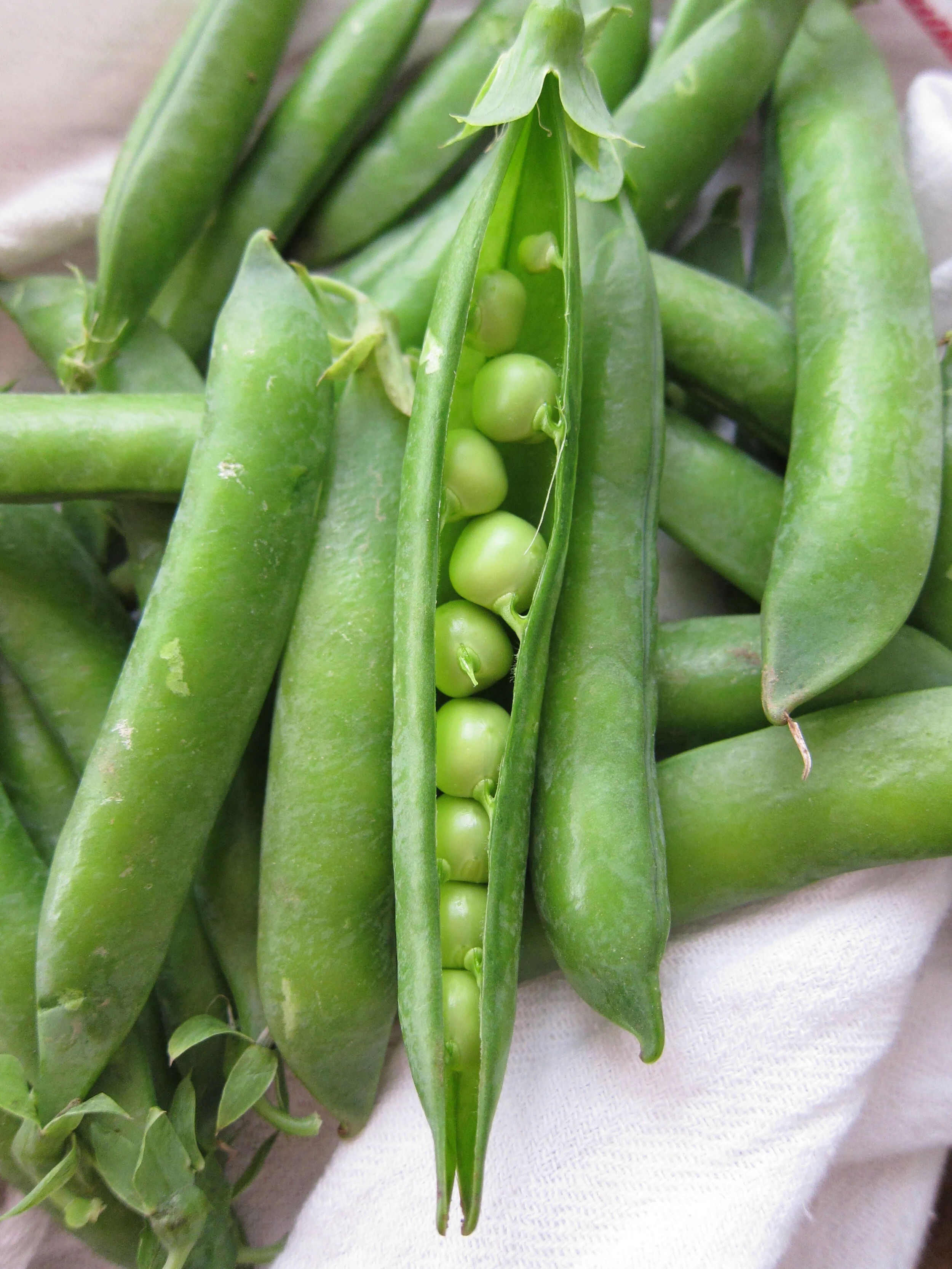 Spring 5-Day Detox for Beginners