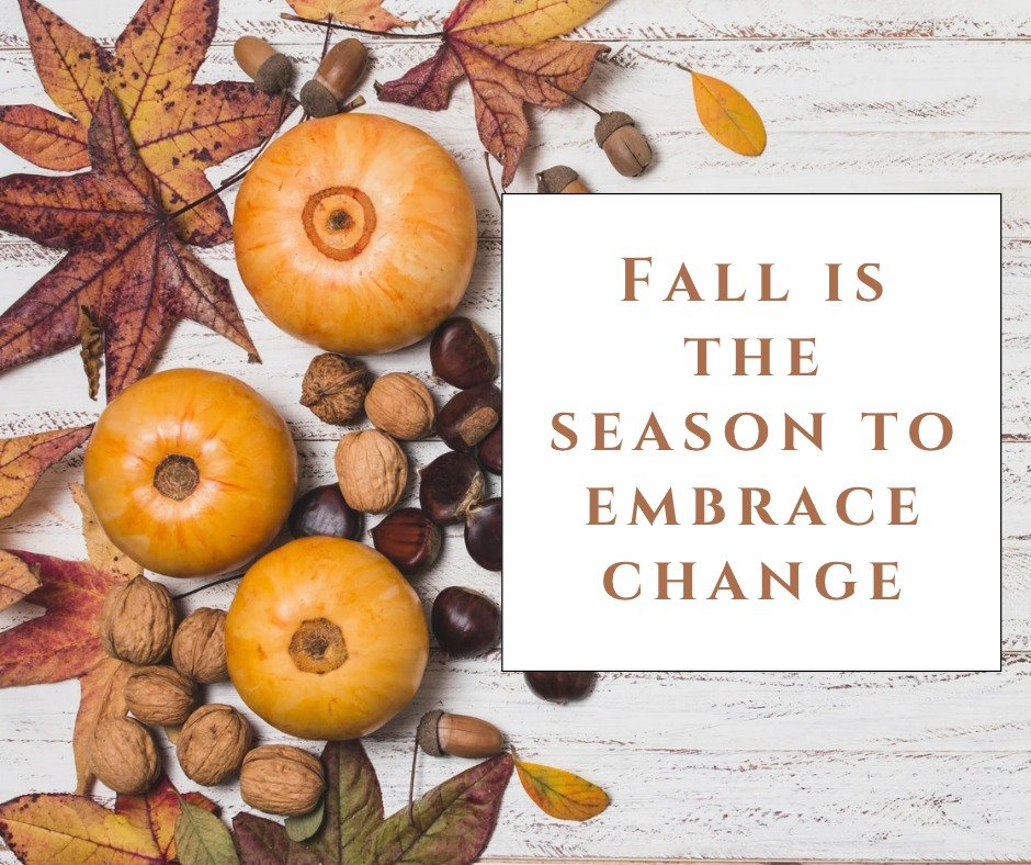 🍂 Thursday Thoughts: A New Season, A Fresh Start

Fall is a reminder that change can be a beautiful thing. 🍁

Just as the trees let go of what they no longer need, we can use this season to pause, reset, and make room for habits that help us feel o