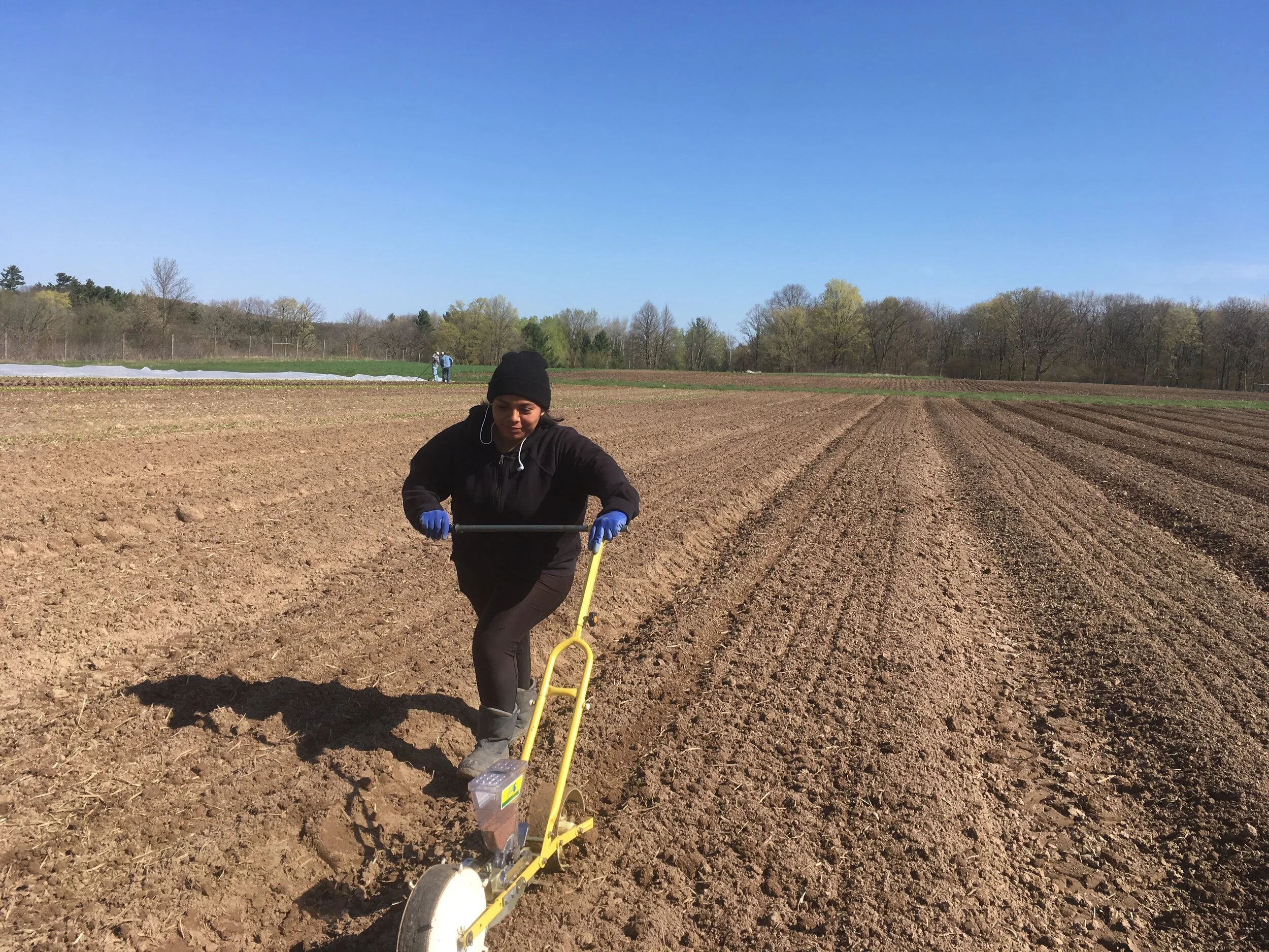 February wake up call...go back to sleep. 