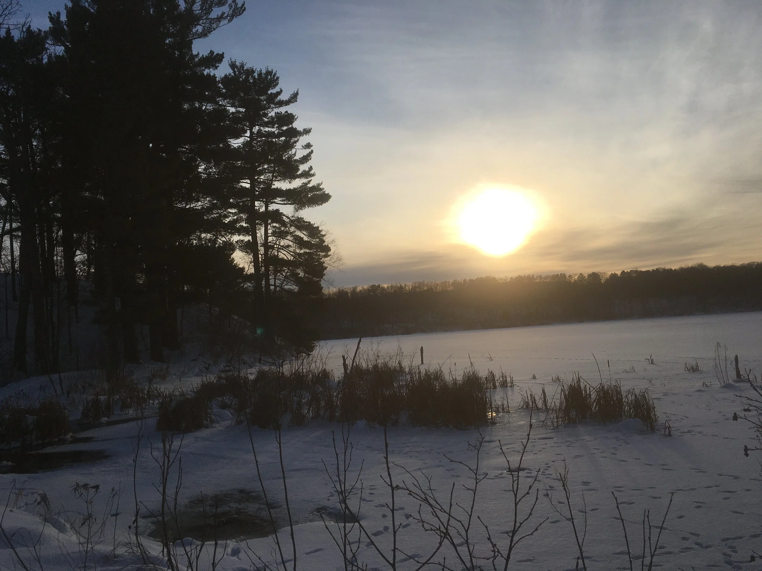 A Little Sunshine in My Bowl...