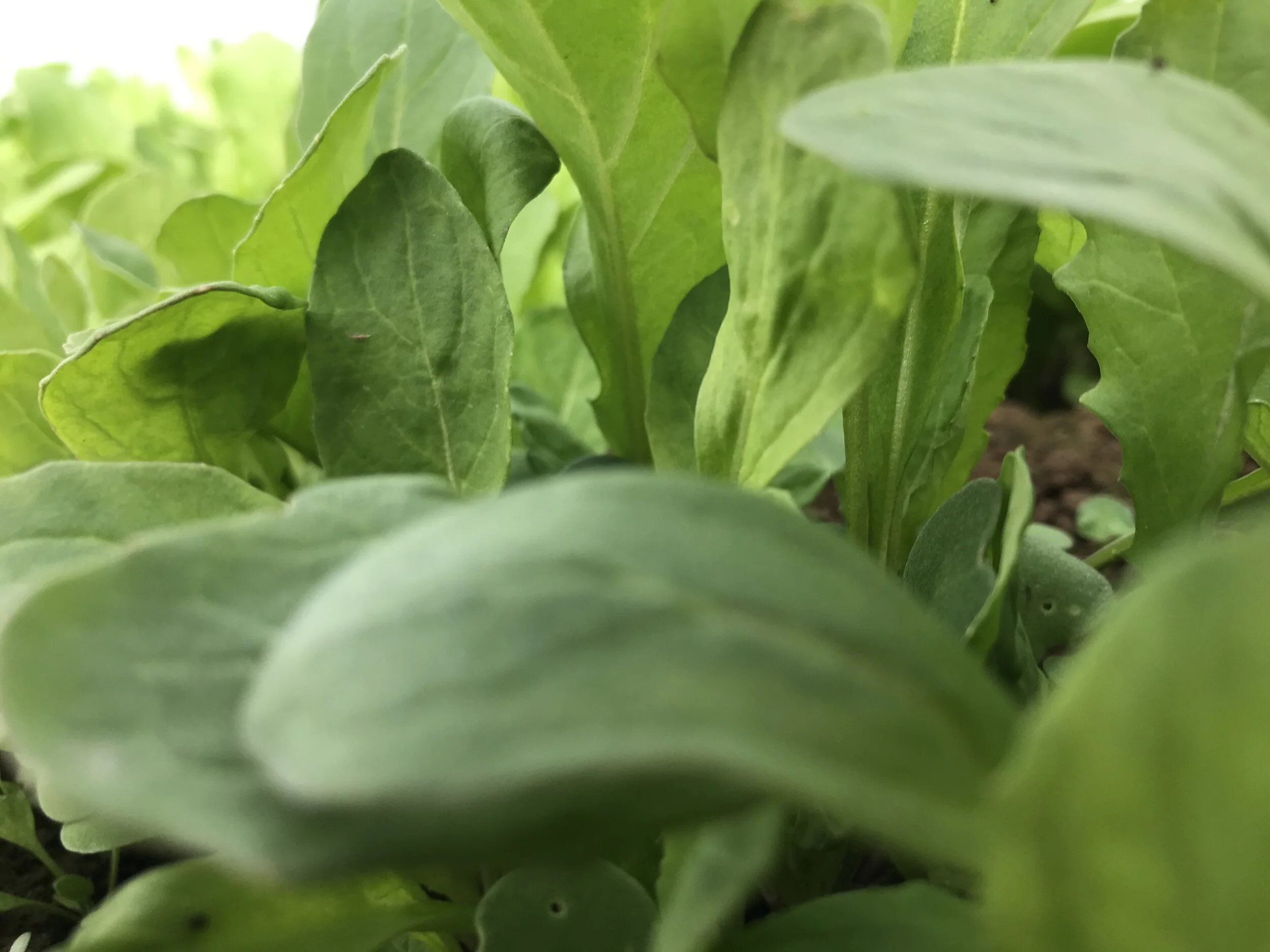 Let's Get This Show on the Road Already!