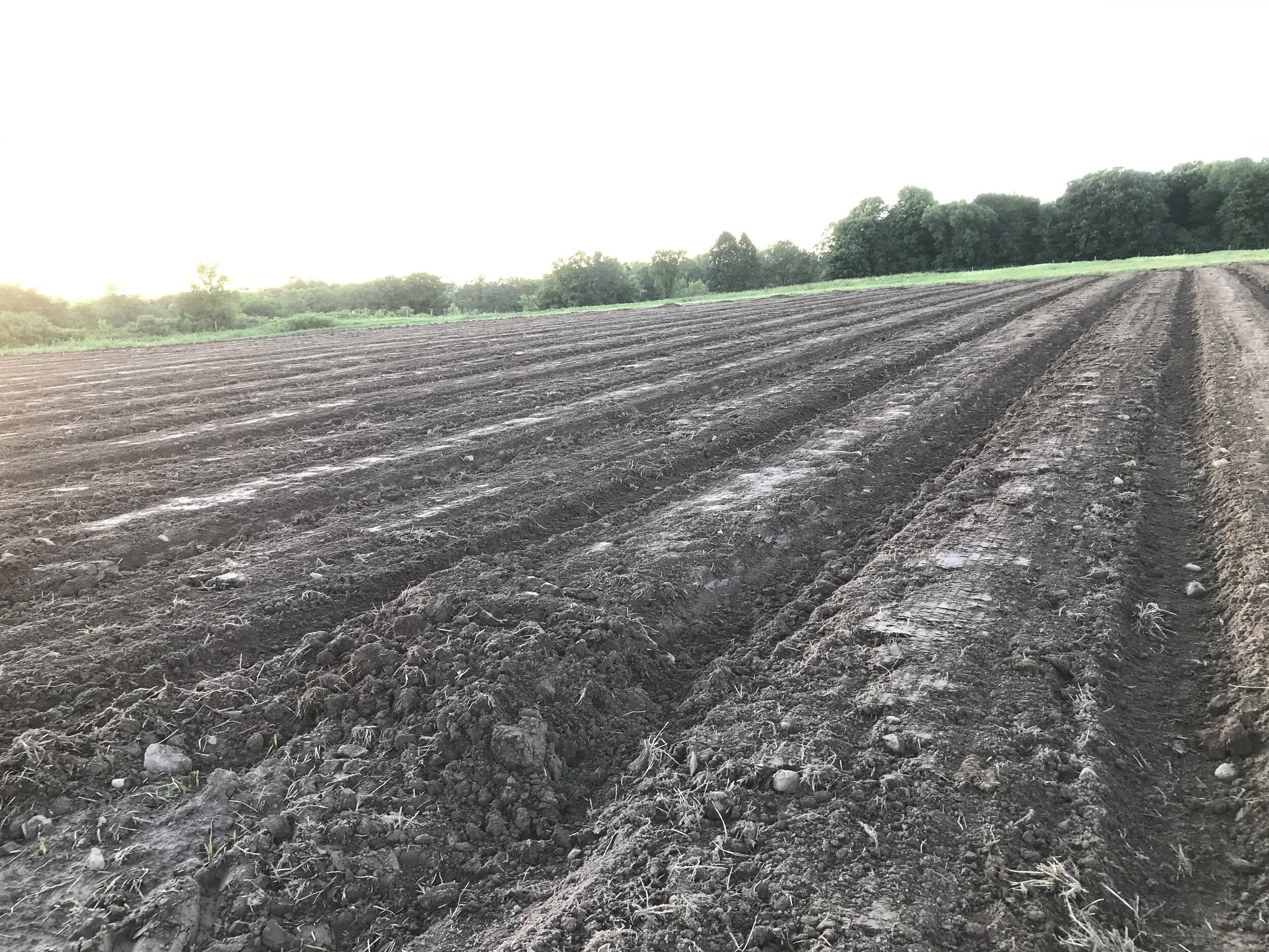 July's Schedule is Ready