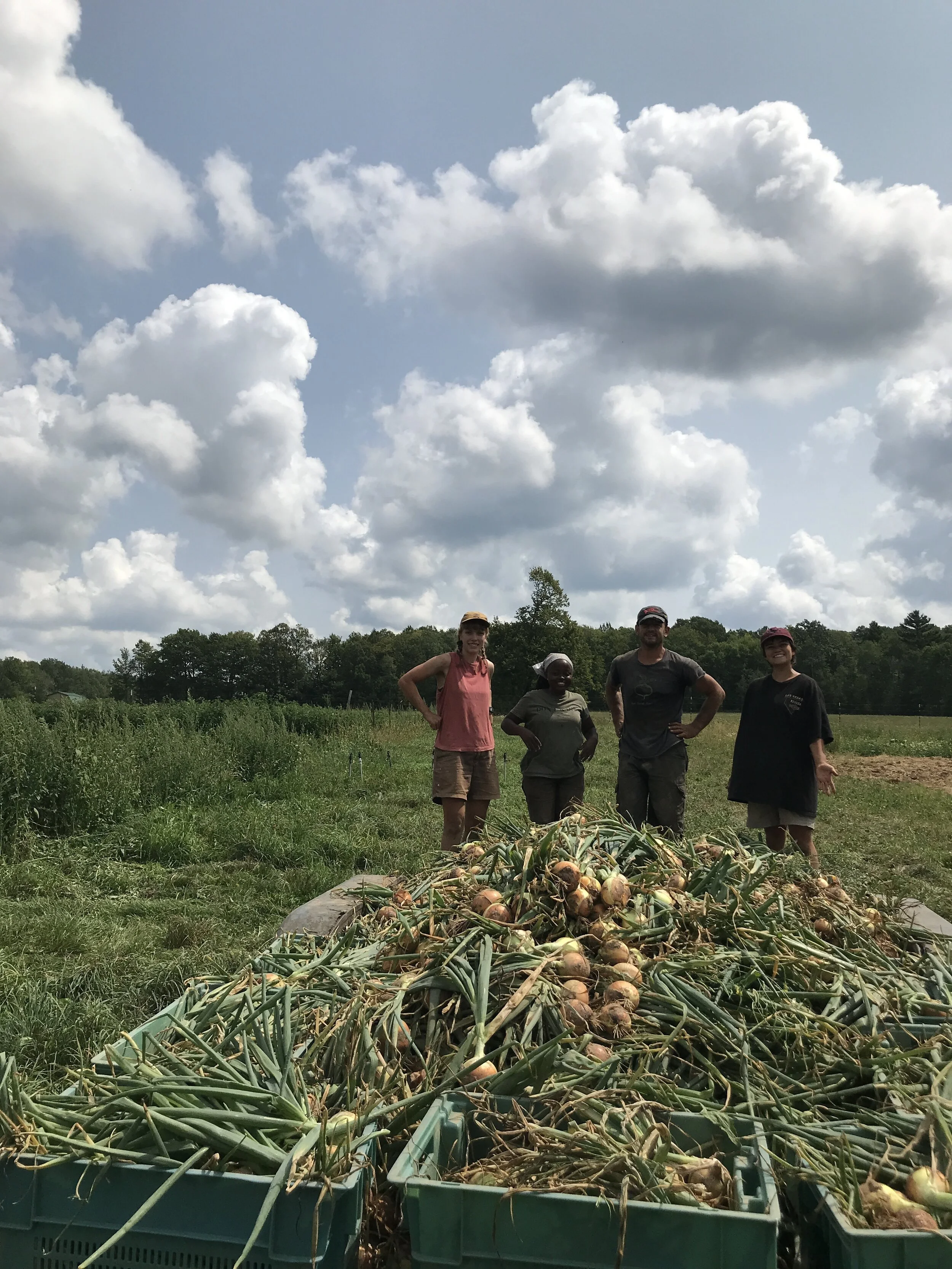 three, in a particular order