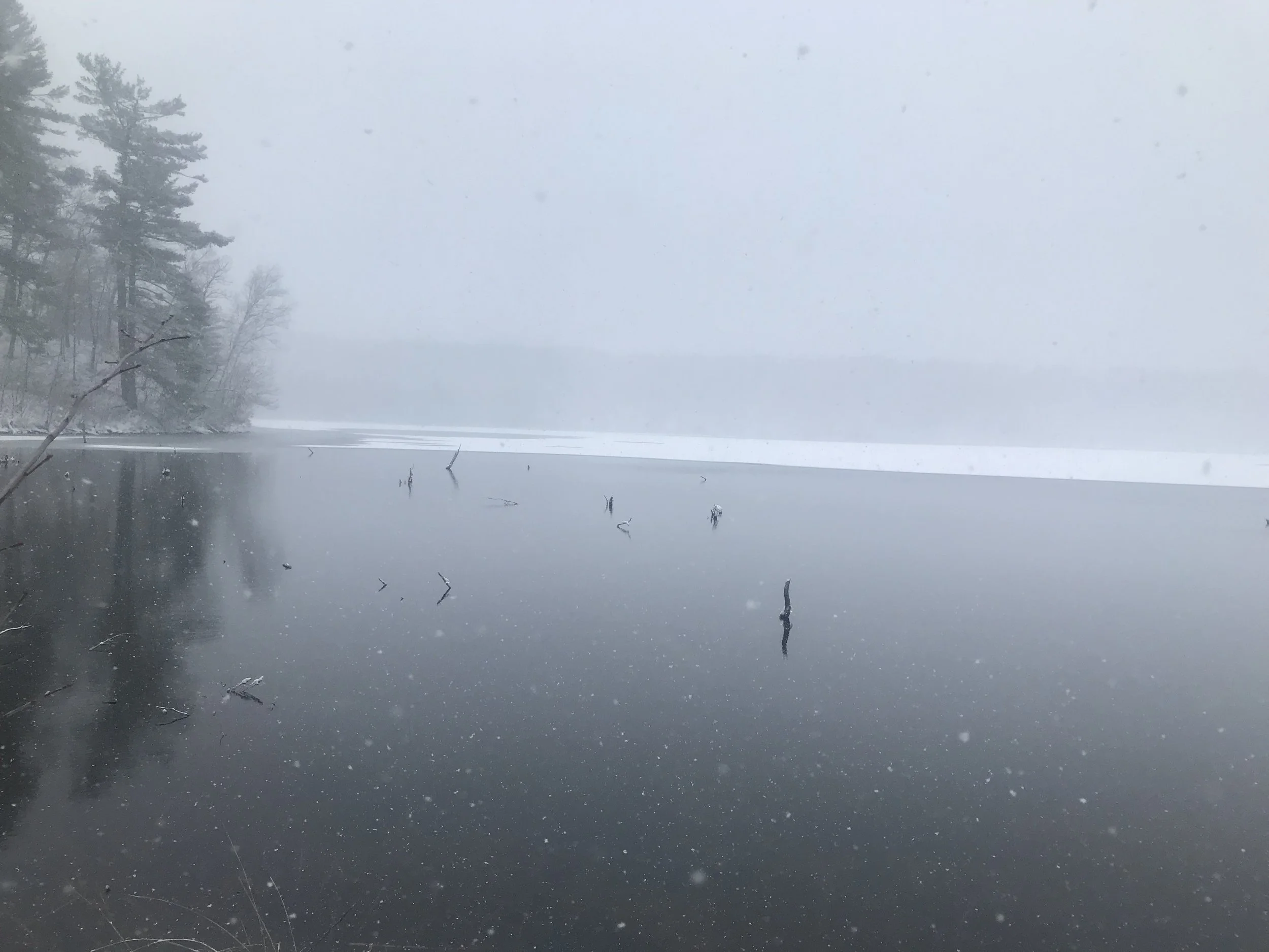 A Study in Alternate Realities #2: Cybertruck or: How I learned to stop worrying and love the crisis