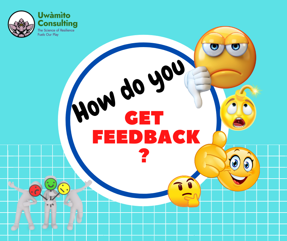 The Importance of Feedback to Service Quality