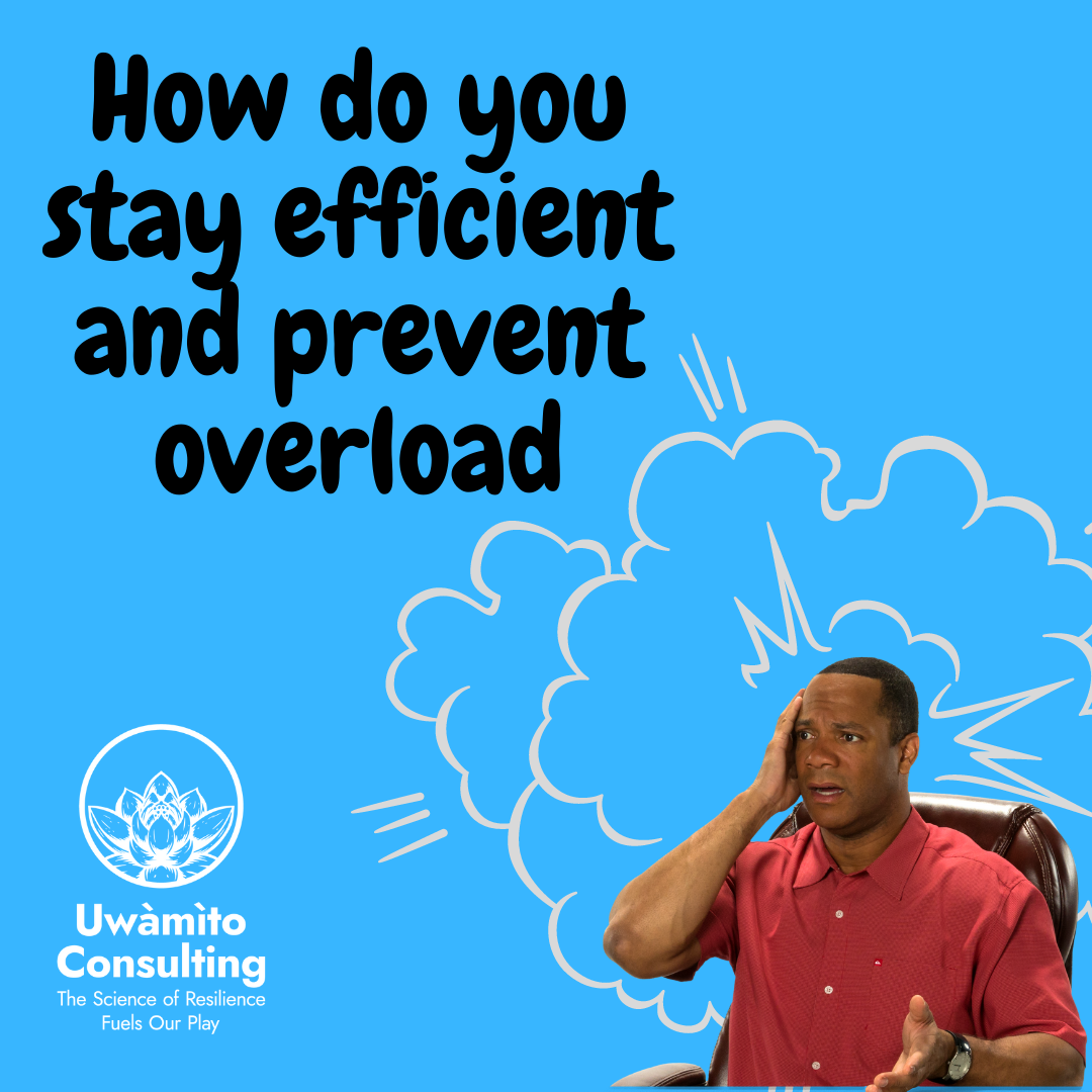 Simple Ways to Stay Effective and Prevent Overload........