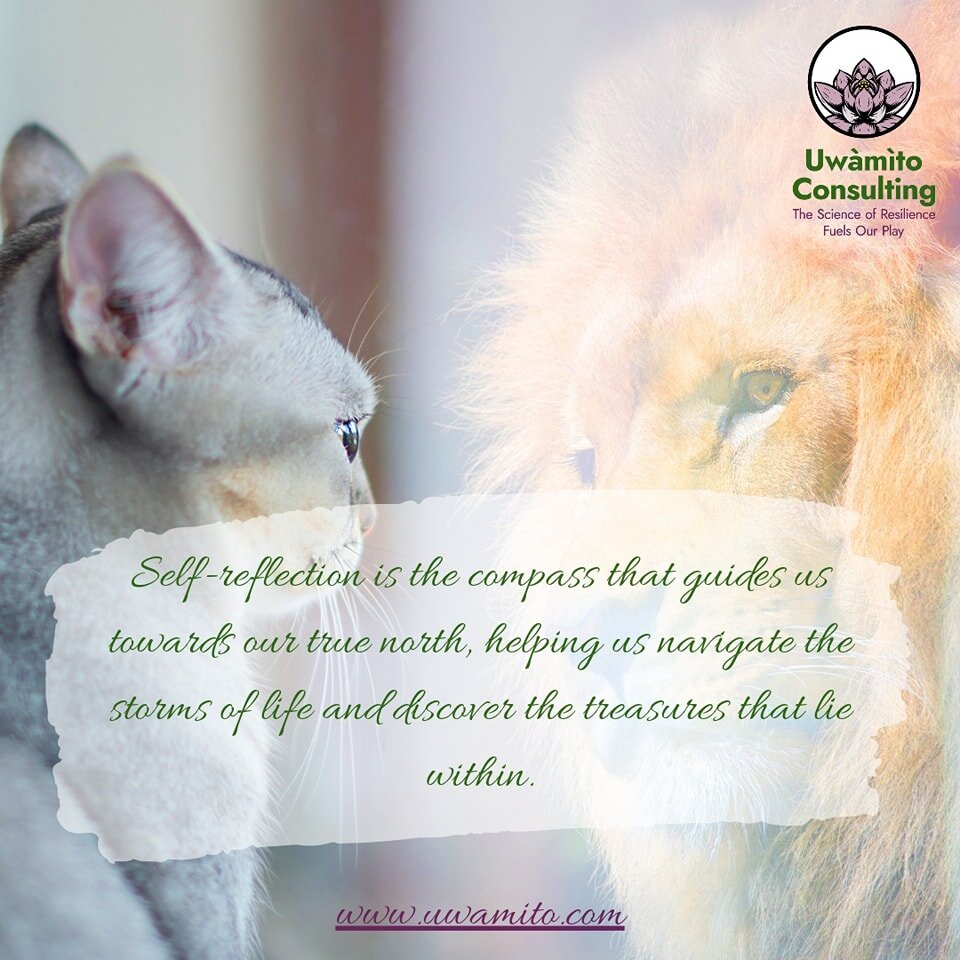 Cultivating self-awareness and continuous self-reflection are the cornerstones of personal growth, and the catalysts that drive success in both life and business.
By investing in yourself and your own development, you not only elevate your own path,