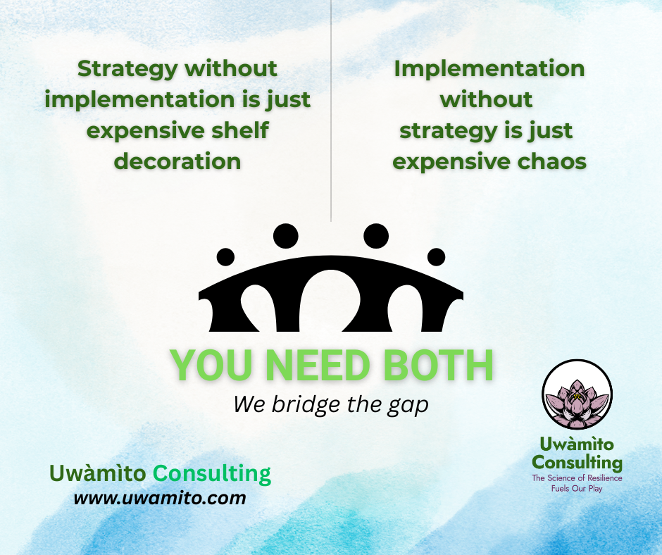 Why Caribbean Development Strategies Stall at Implementation (And How to Fix it)