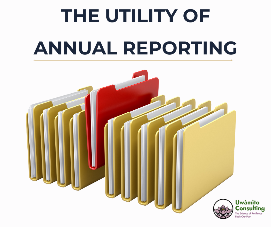 Why Your Annual Report Matters More Than You Think: The Strategic Value of Documentation