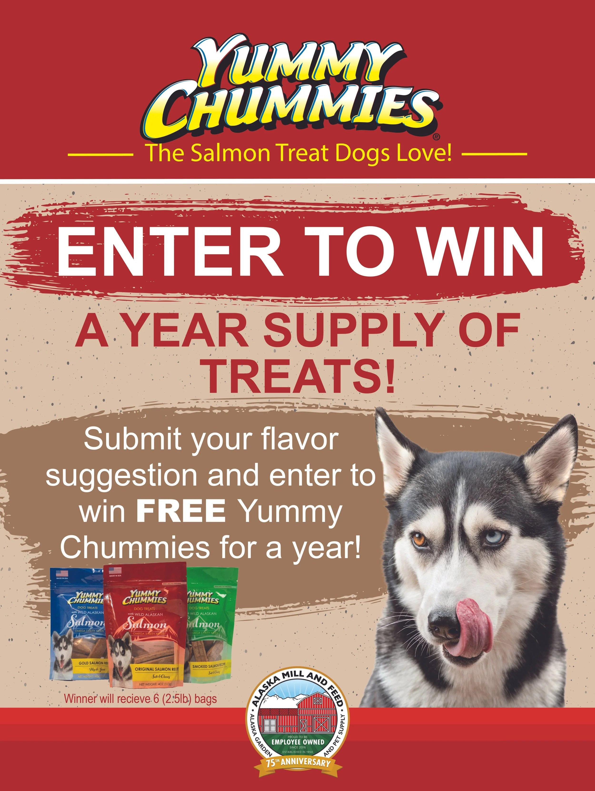 Yummy Chummy New Flavor-01.jpg