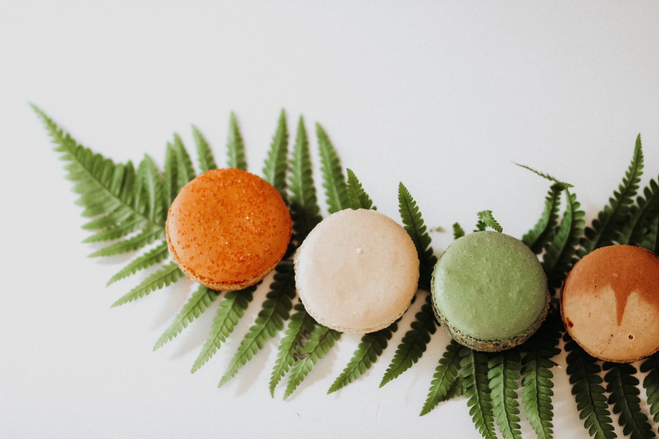 Special Effects Salon + Tea