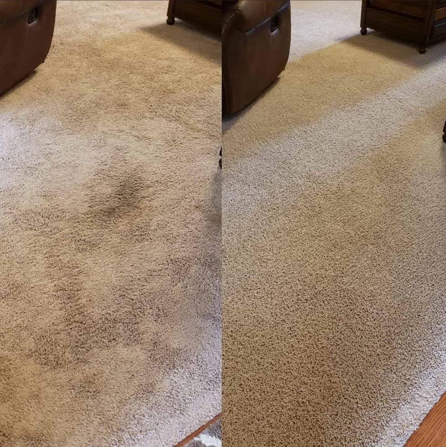 Before and After of Living Room Carpet
