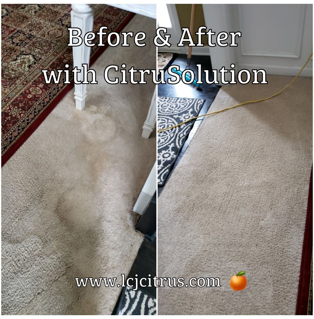 Carpet Cleaner The Citrus Weekly Blog Citrusolution Cleaning Of North Cherokee