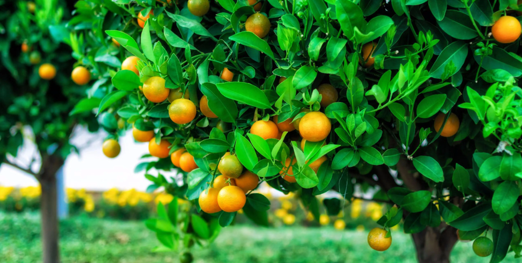 Screenshot 2022-03-12 151325.png