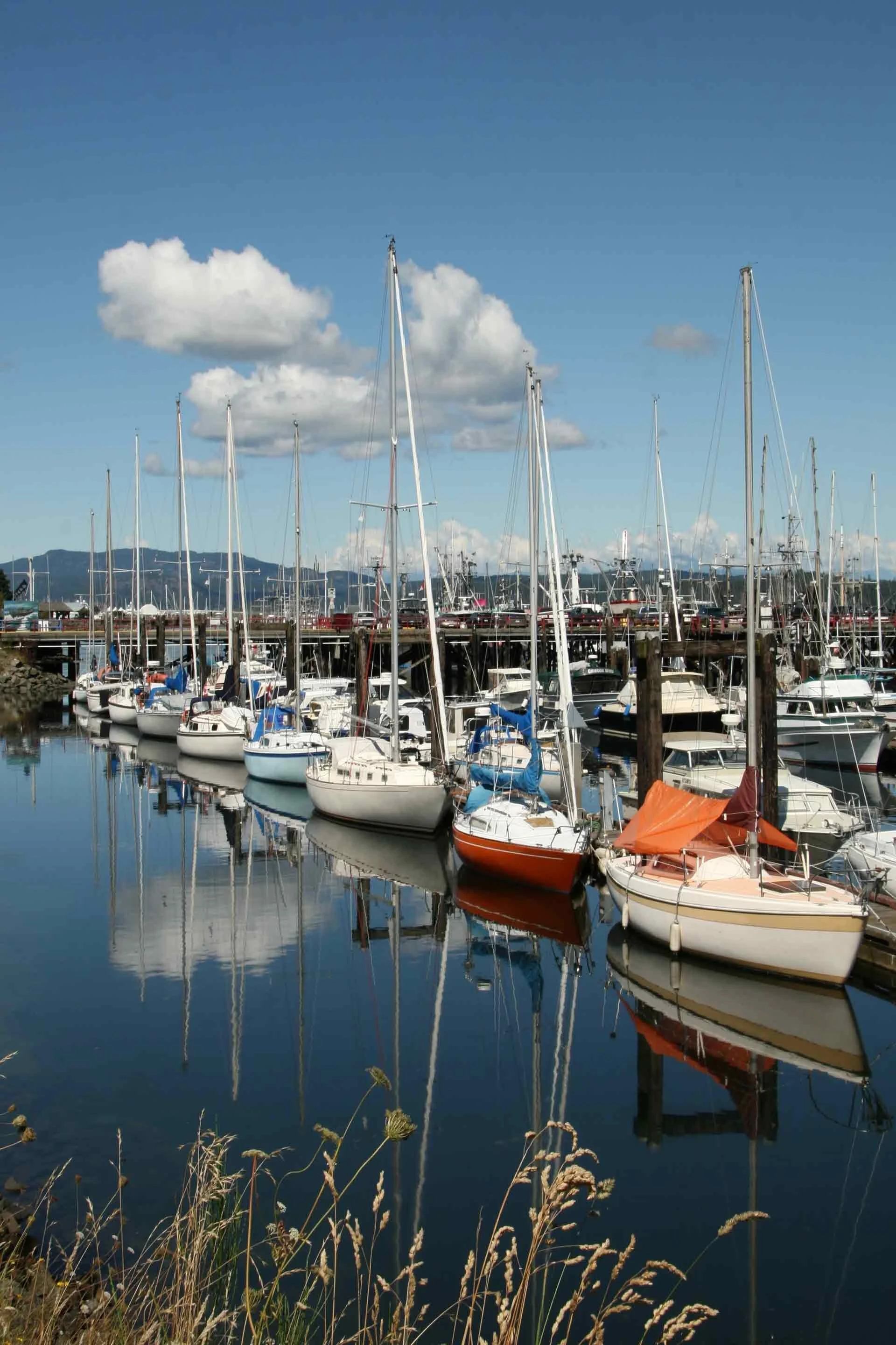 ABOUT COMOX VALLEY — RE/MAX Ocean Pacific Realty Comox Valley Real