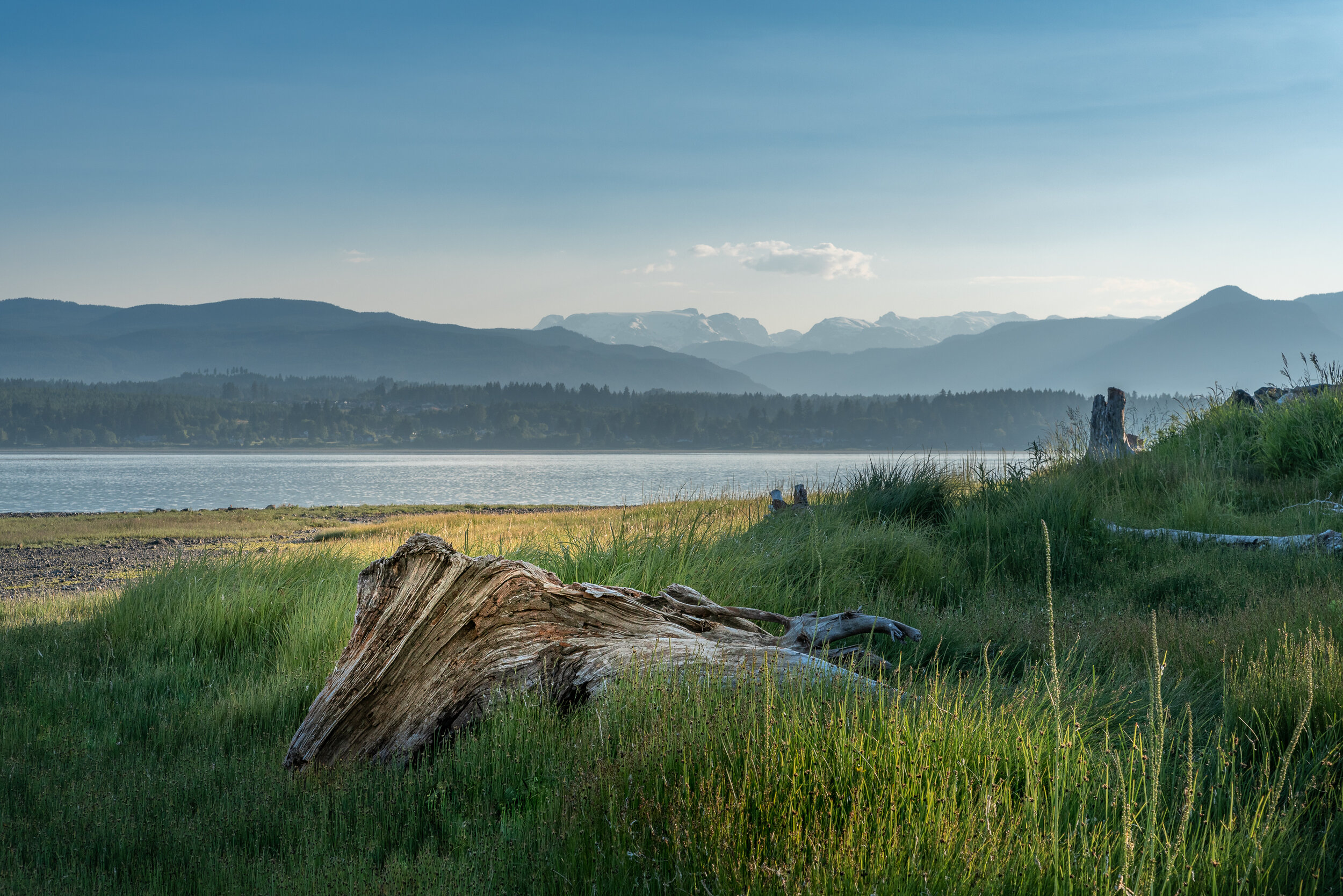 comox-valley-real-estate.jpg