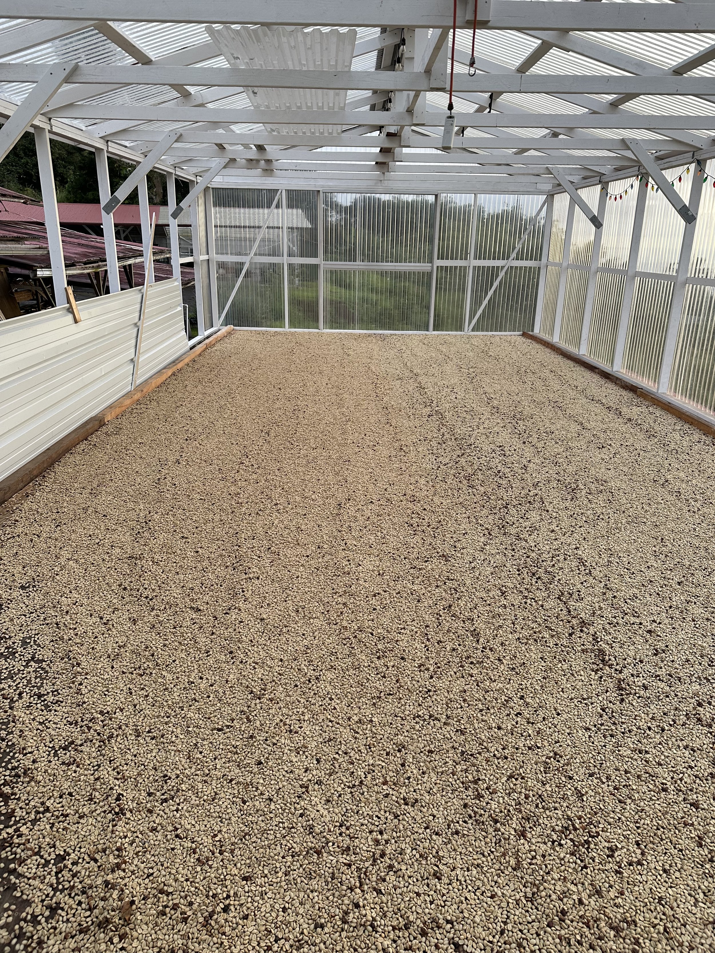 dry deck.jpeg