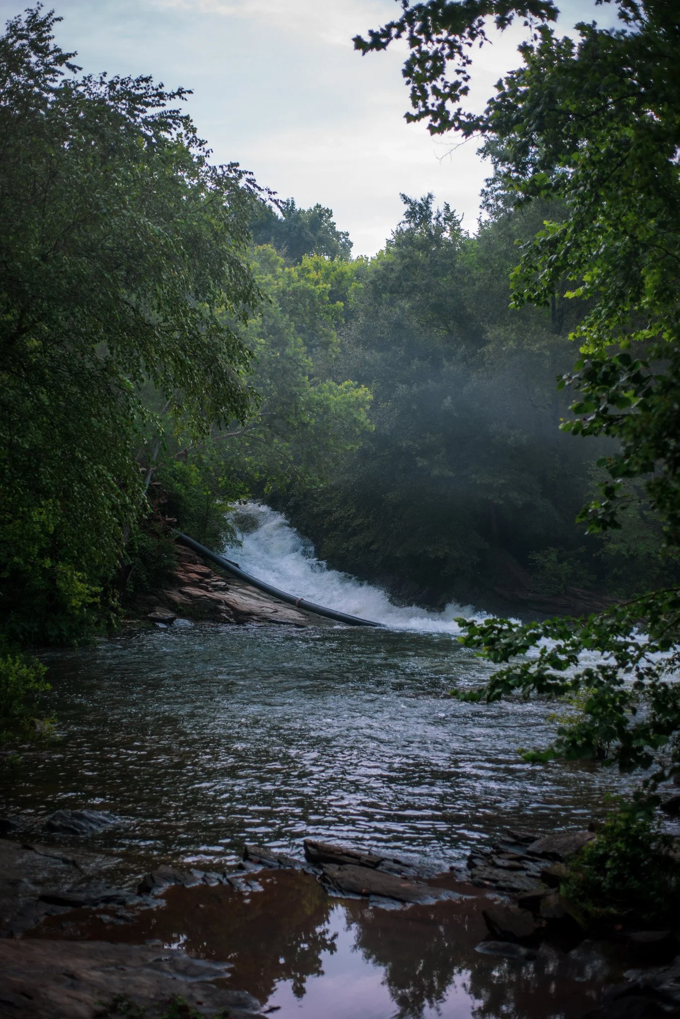 IMG_0240.JPG