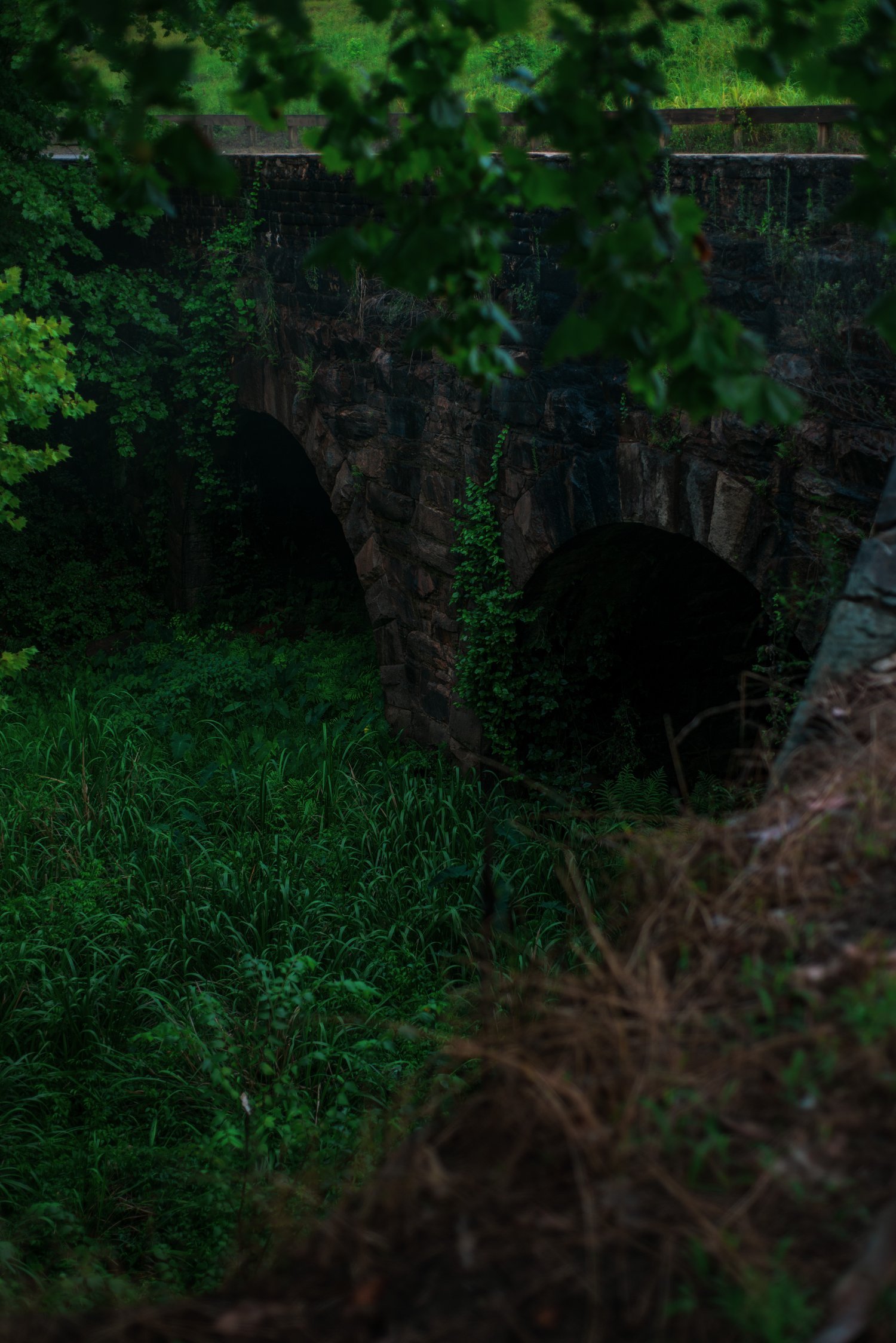 aqueduct grass vertical.jpg