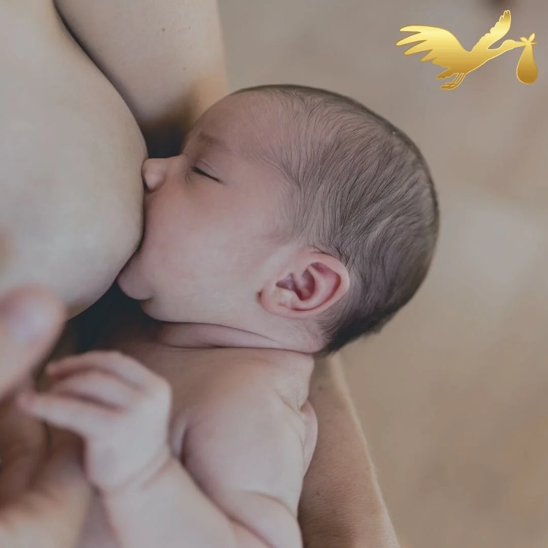 Amazing Data on The Benefits of Breastfeeding