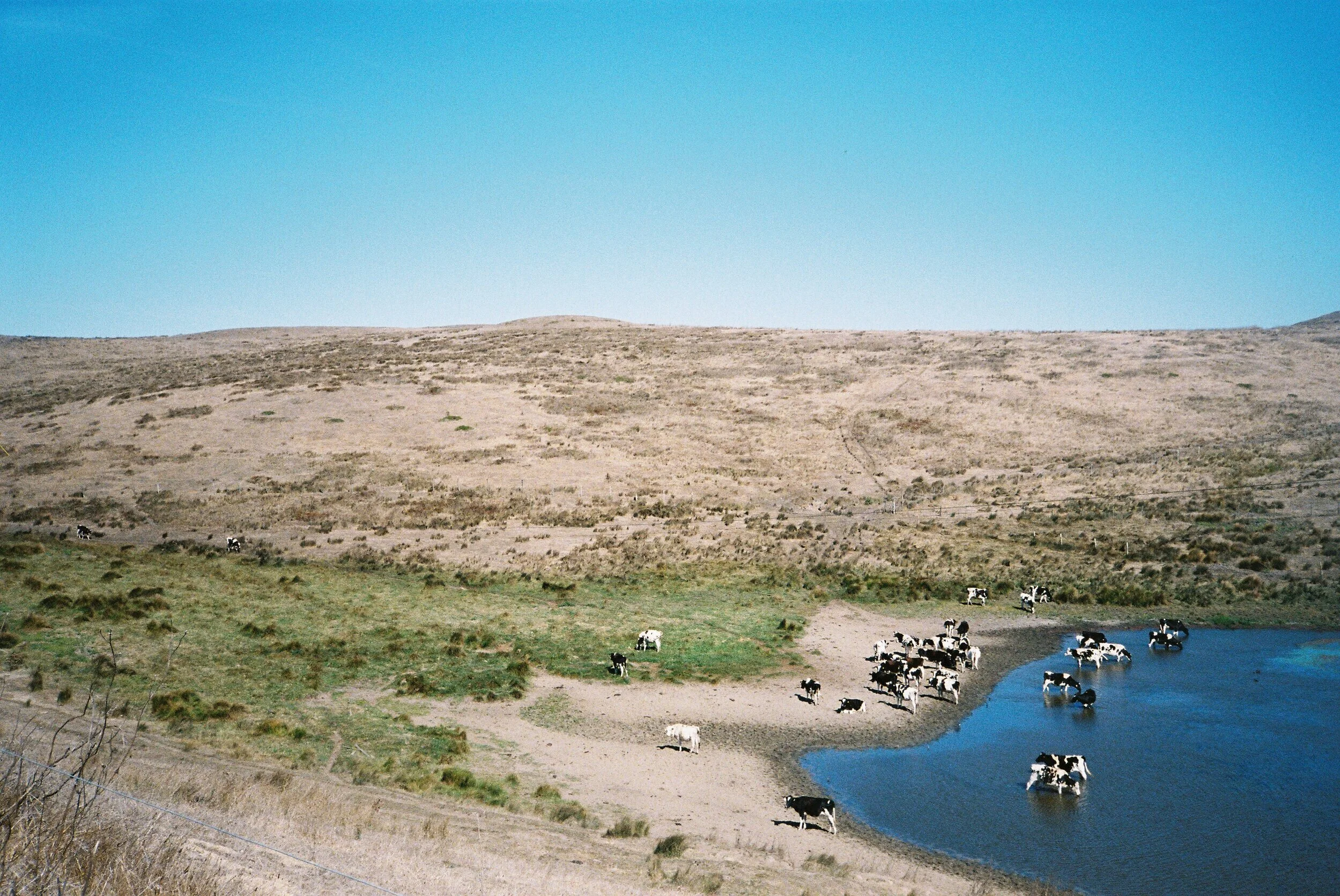 4322955-R1-031-14.jpg