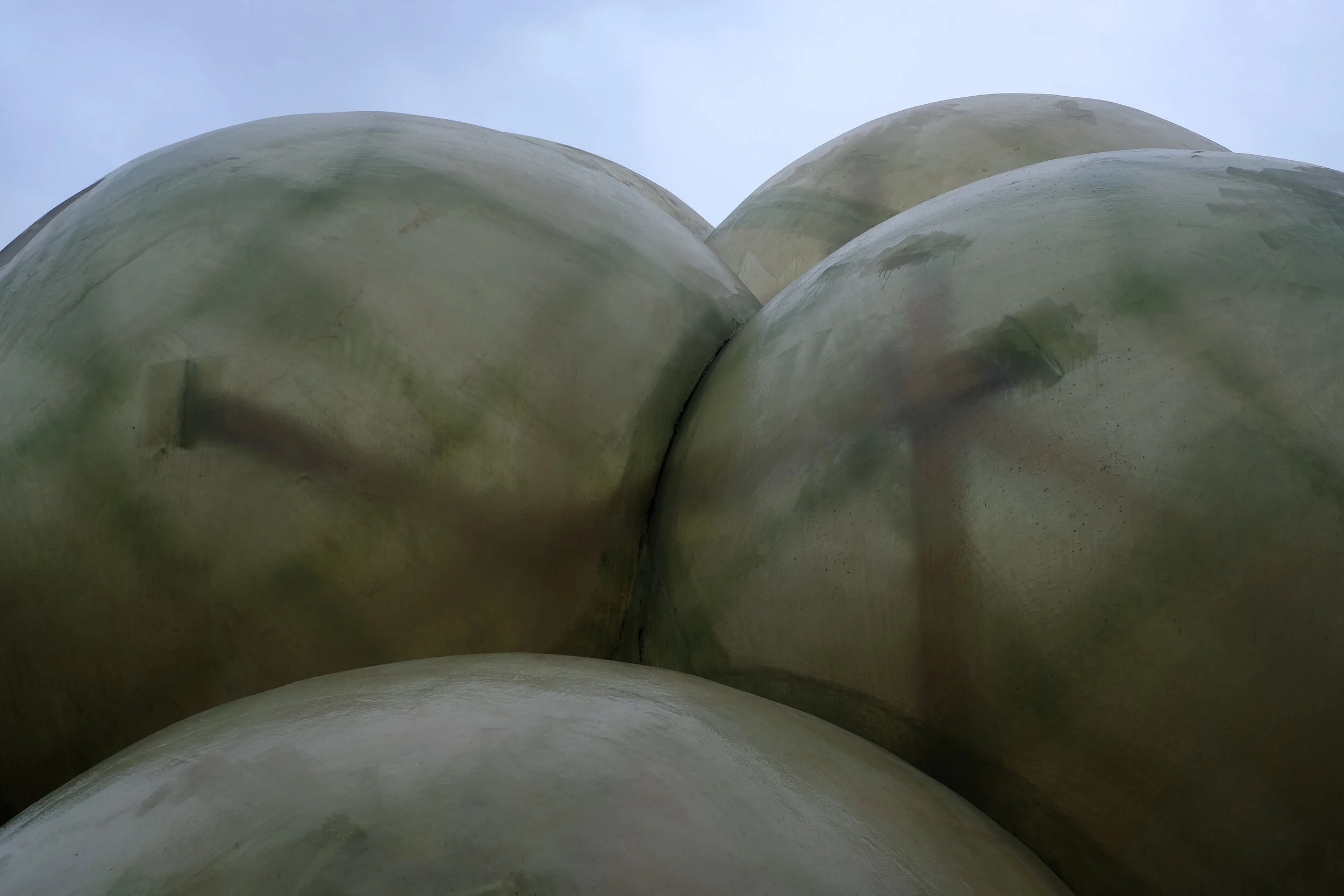 DSCF1273.JPG