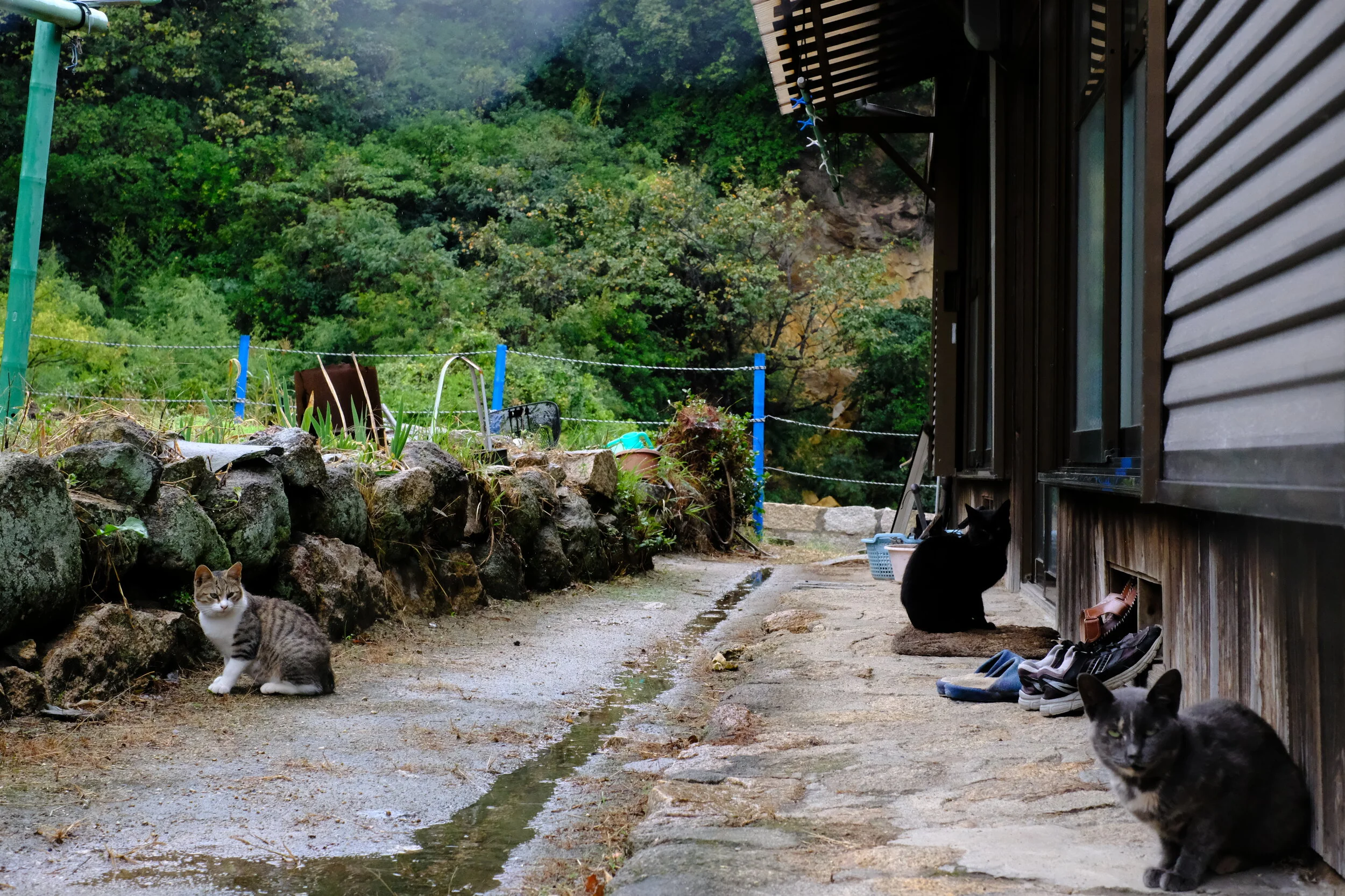 DSCF1678.JPG
