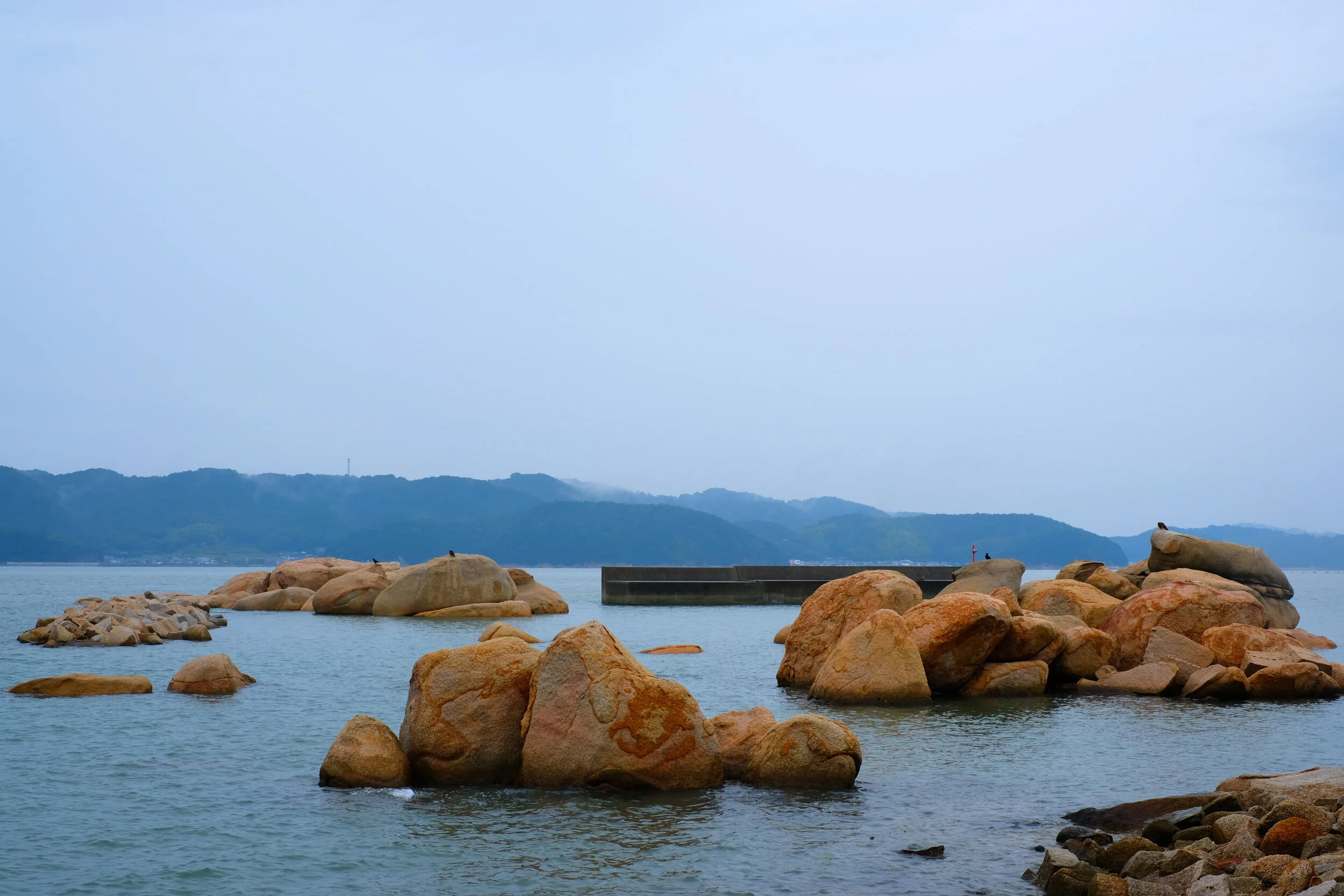DSCF1684.JPG